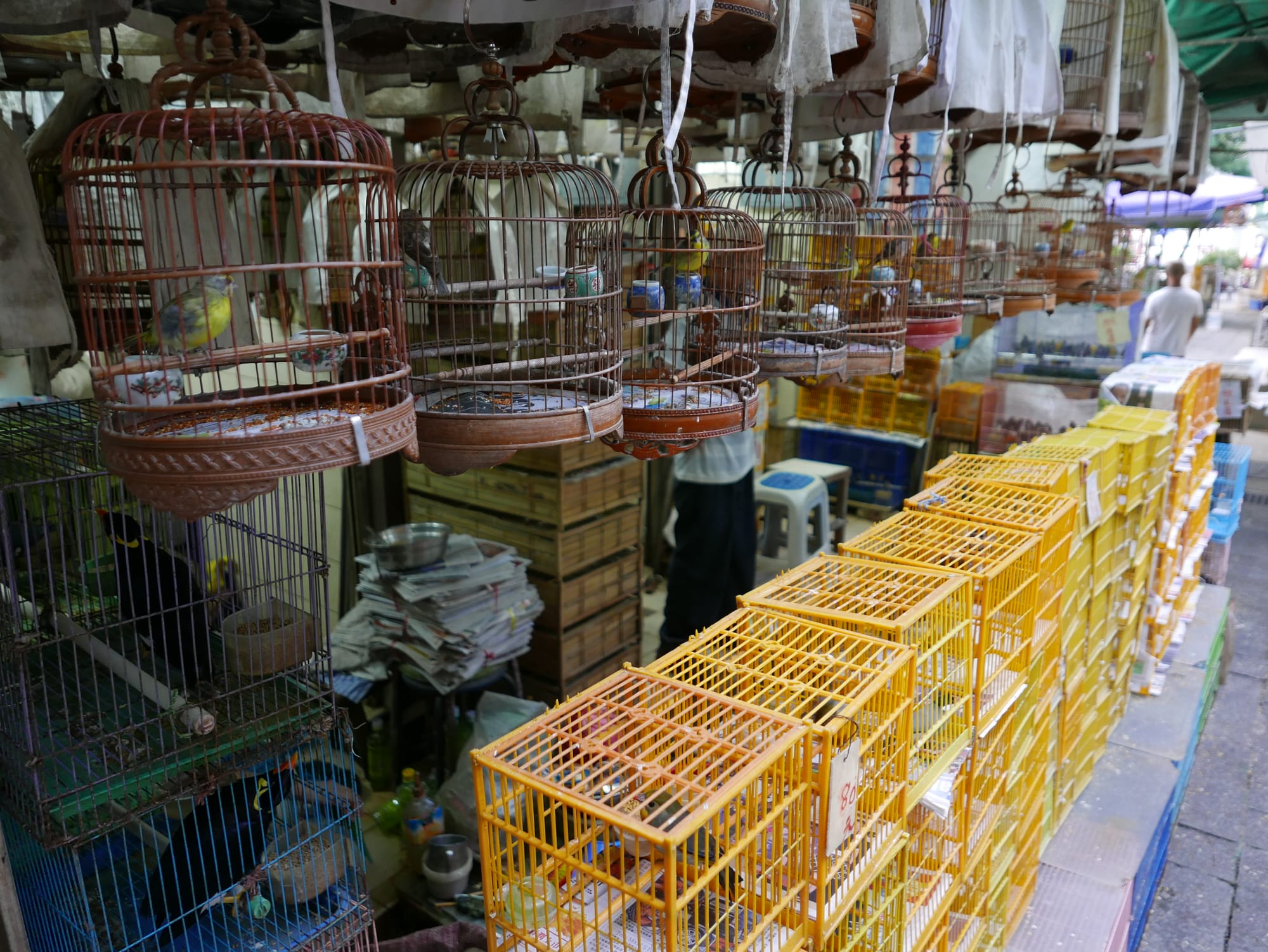 Photo by Author — Yuen Po Street Bird Garden 園圃街雀鳥花園, Hong Kong