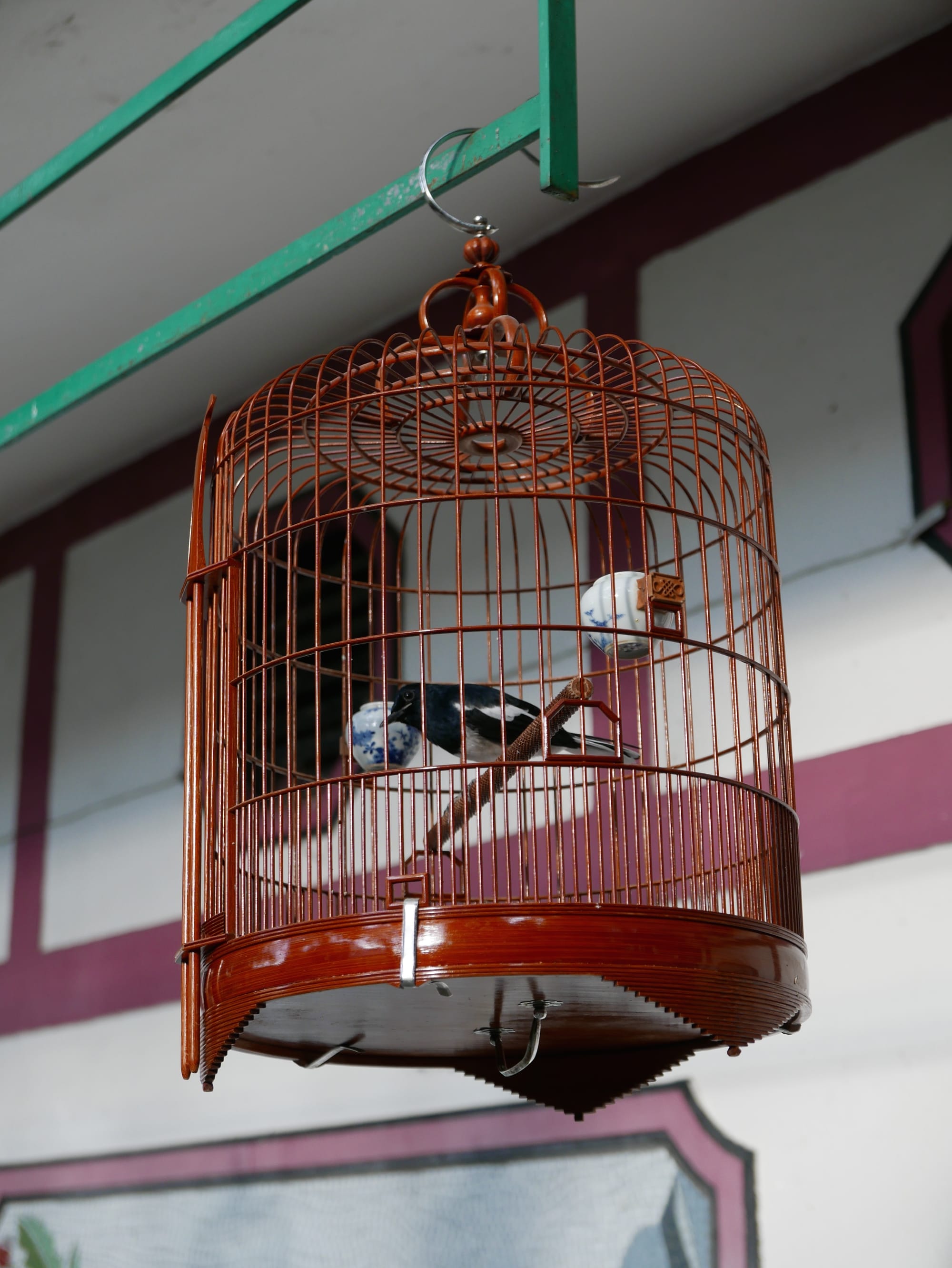 Photo by Author — Yuen Po Street Bird Garden 園圃街雀鳥花園, Hong Kong