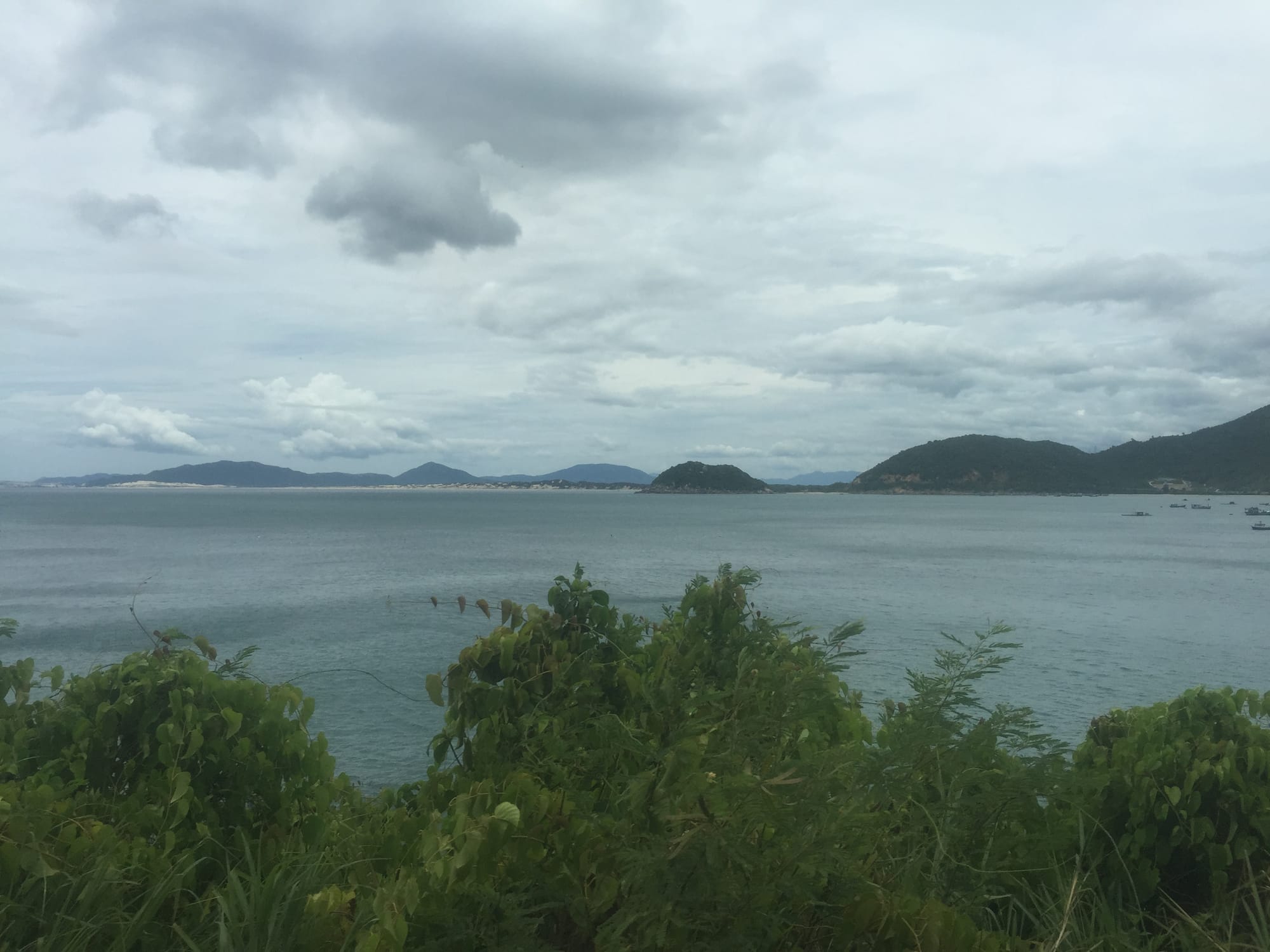 Photo by Author — the countryside from the Reunification Railway, Vietnam