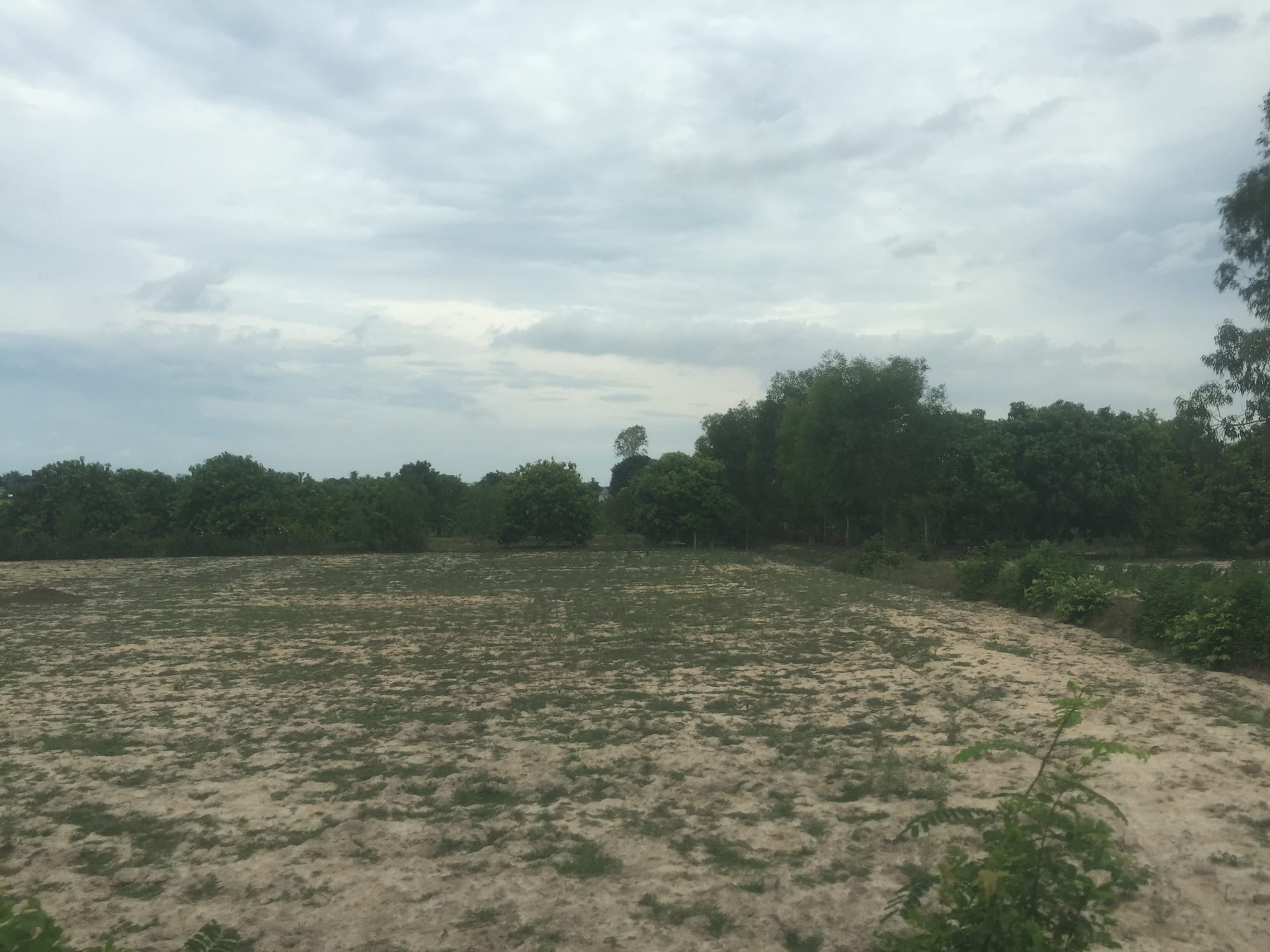 Photo by Author — the countryside from the Reunification Railway, Vietnam