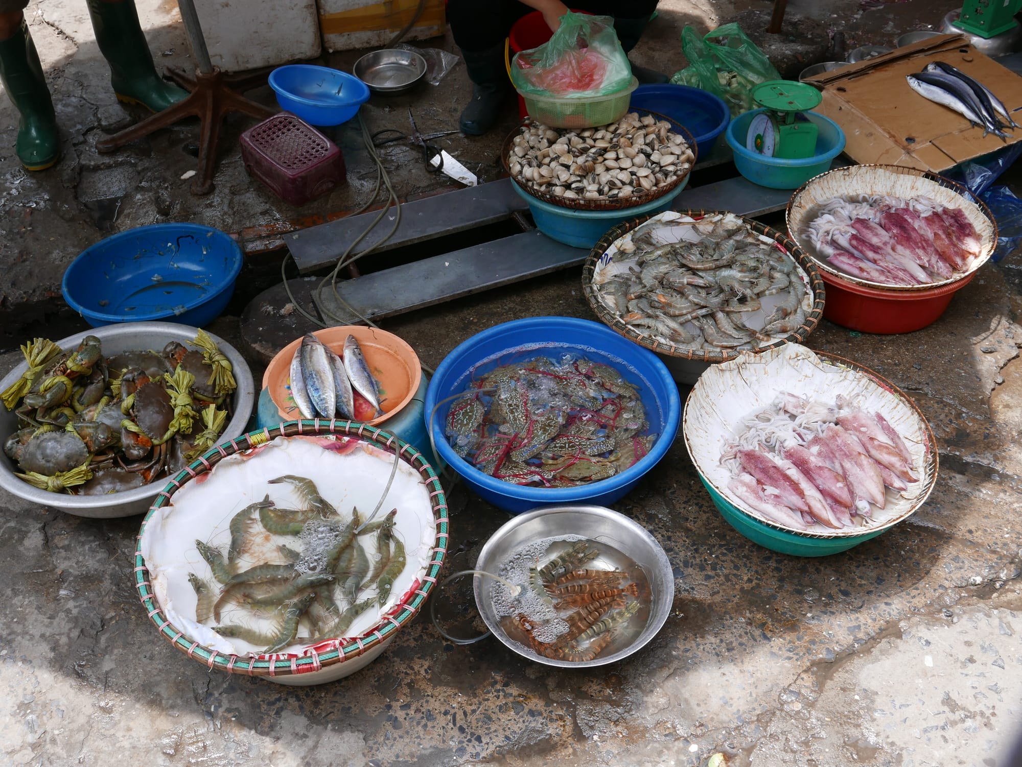 Photo by Author — fisher seller — Hanoi, Vietnam