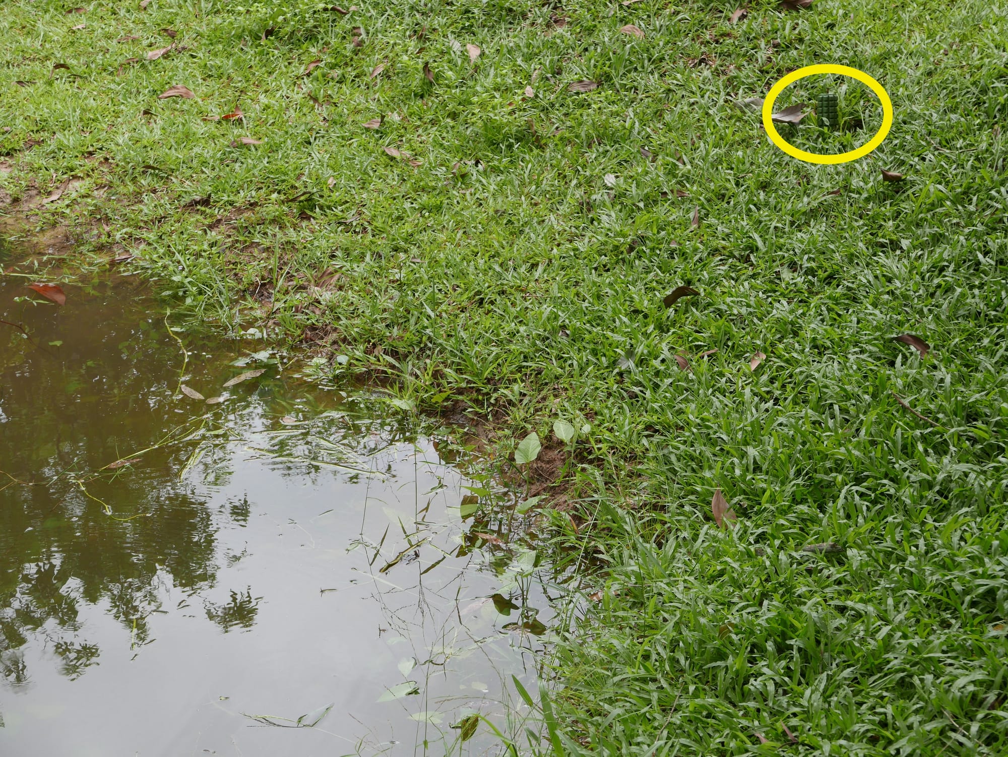 Photo by Author — spot the anti-personnel mine — War Museum, Siem Reap, Cambodia