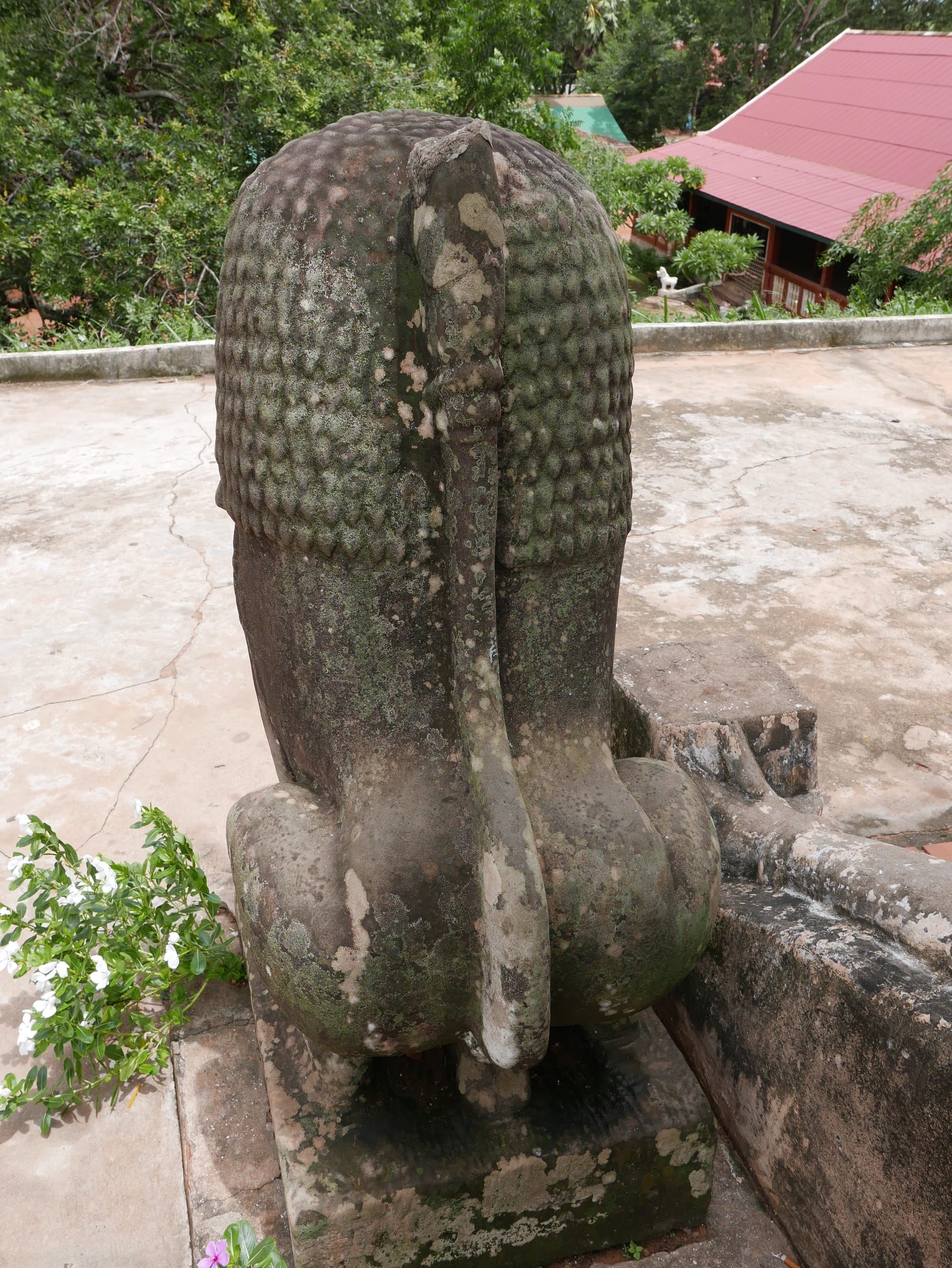 Photo by Author — the back of a lion guardian at Lolei (ប្រាសាទលលៃ), Angkor Archaeological Park, Angkor, Cambodia