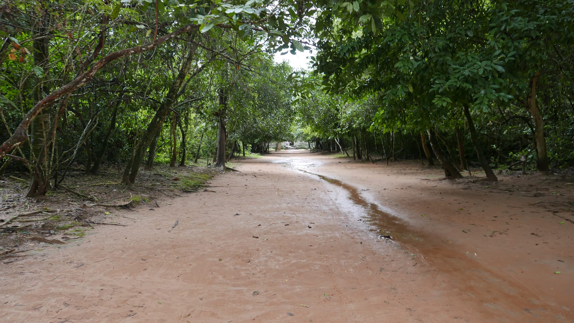 Photo by Author — Preah Khan (ប្រាសាទព្រះខ័ន), Angkor Archaeological Park, Angkor, Cambodia