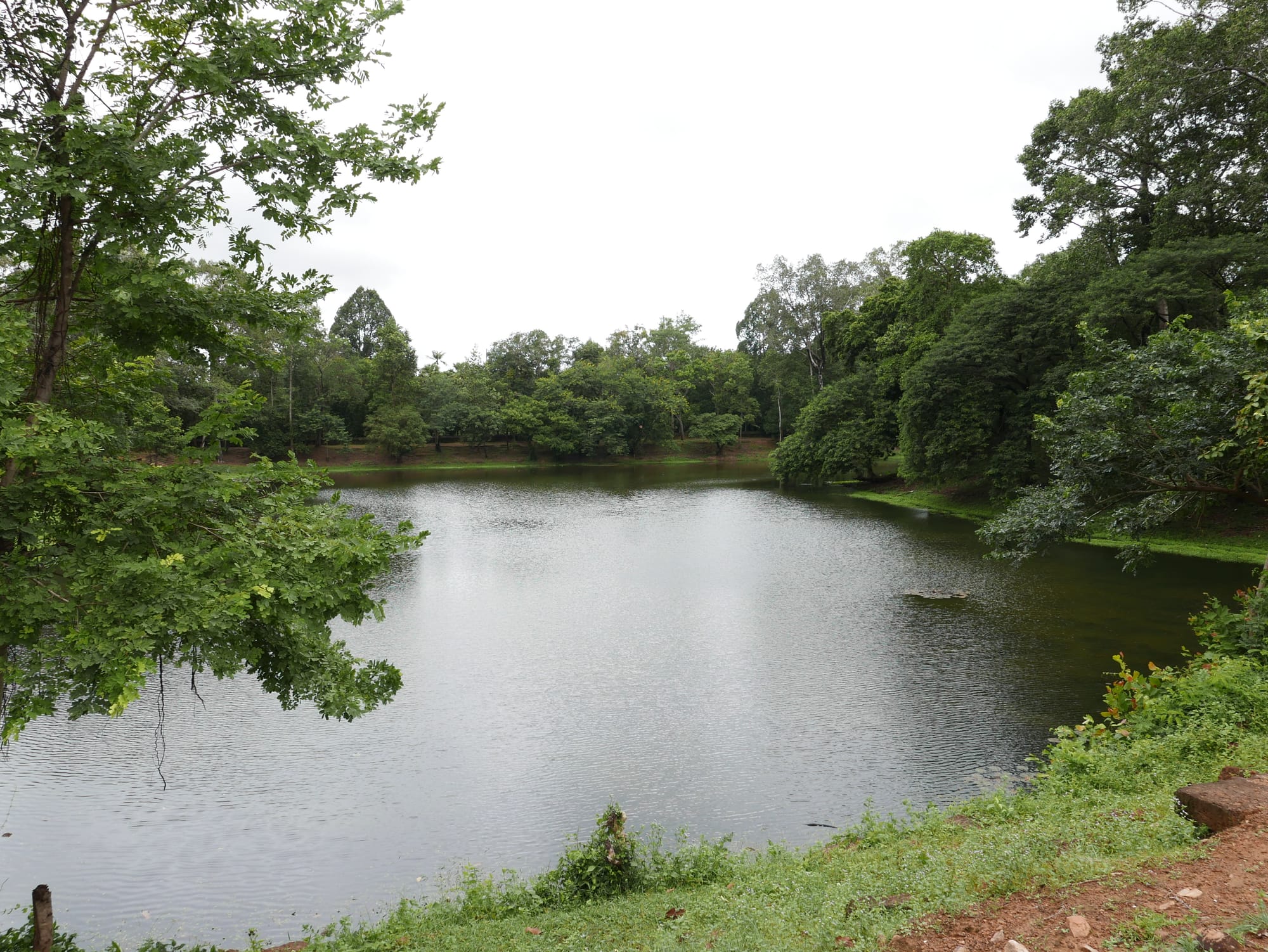 Photo by Author — the moat at Bakong Temple (បាគង), Angkor Archaeological Park, Angkor, Cambodia