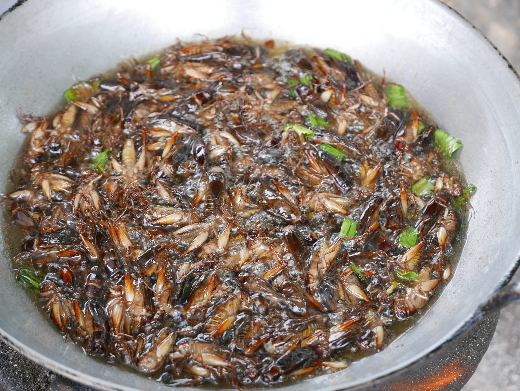 Photo by Author — insects being fried for a roadside snack — Siem Reap, Cambodia