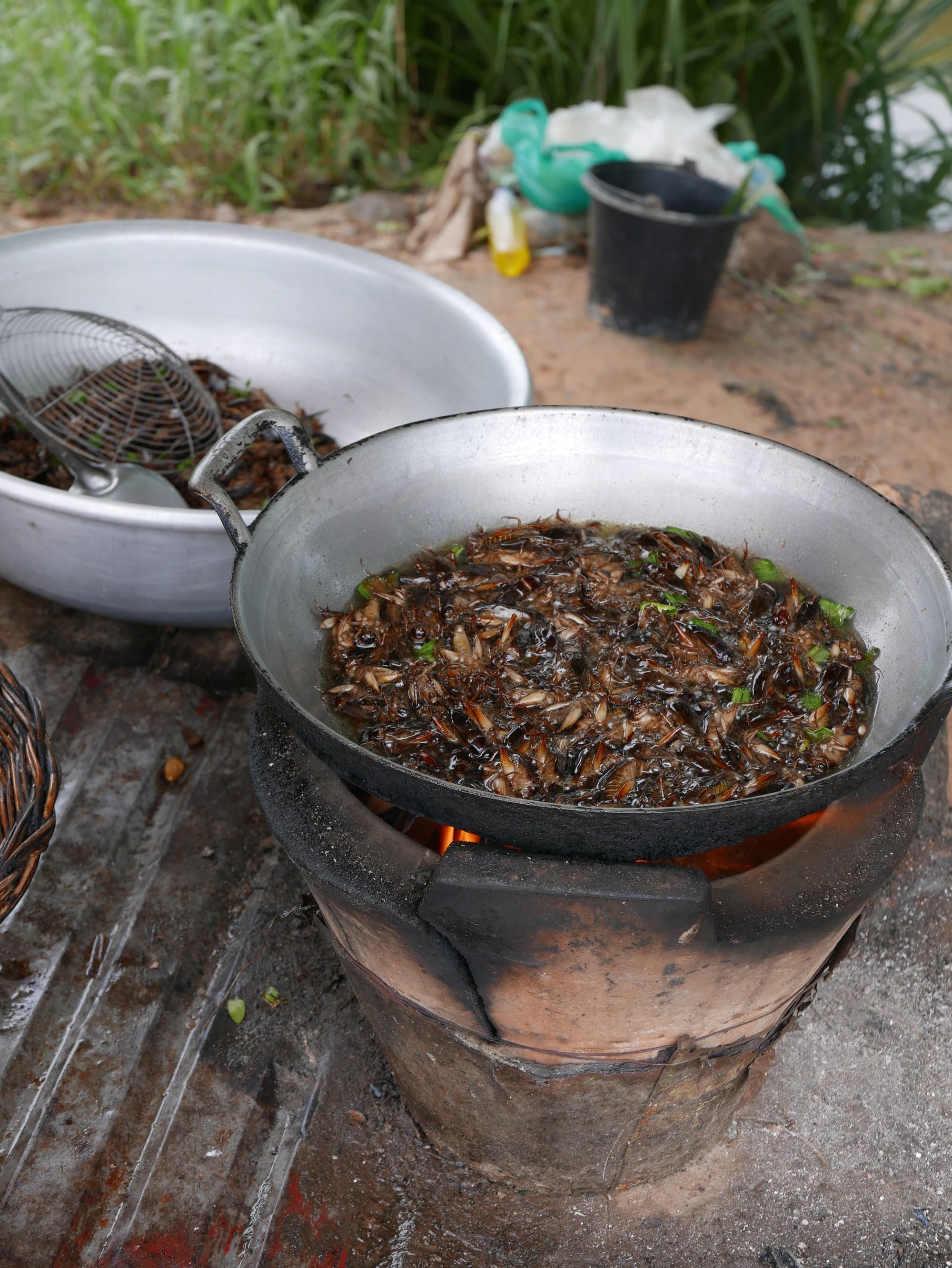 Photo by Author — frying time — deep-fried insects roadside snack — Siem Reap, Cambodia