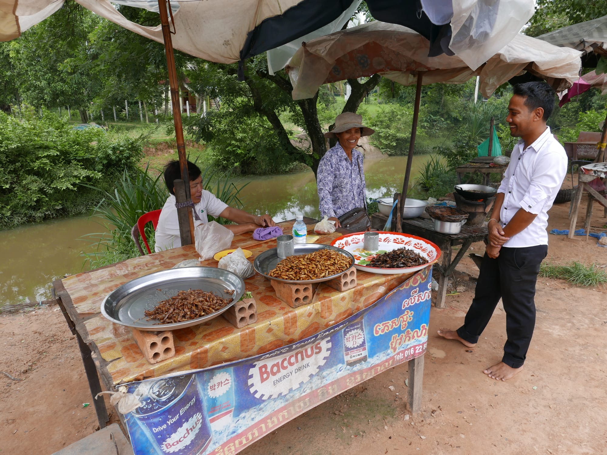 Photo by Author — deep-fried insects roadside snack — Siem Reap, Cambodia