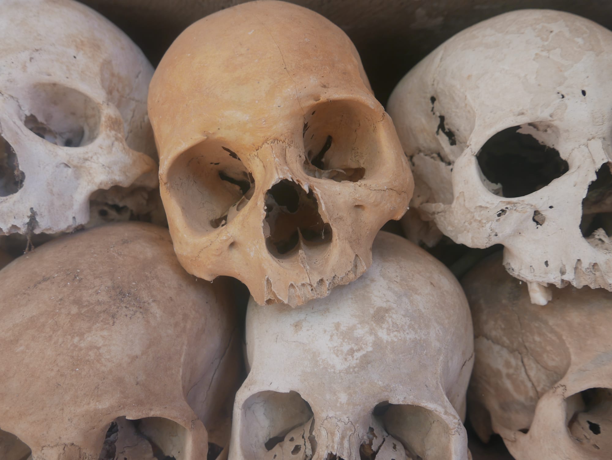 Photo by Author — human skulls at the Wat Thmey Killing Field Memorial, Siem Reap, Cambodia