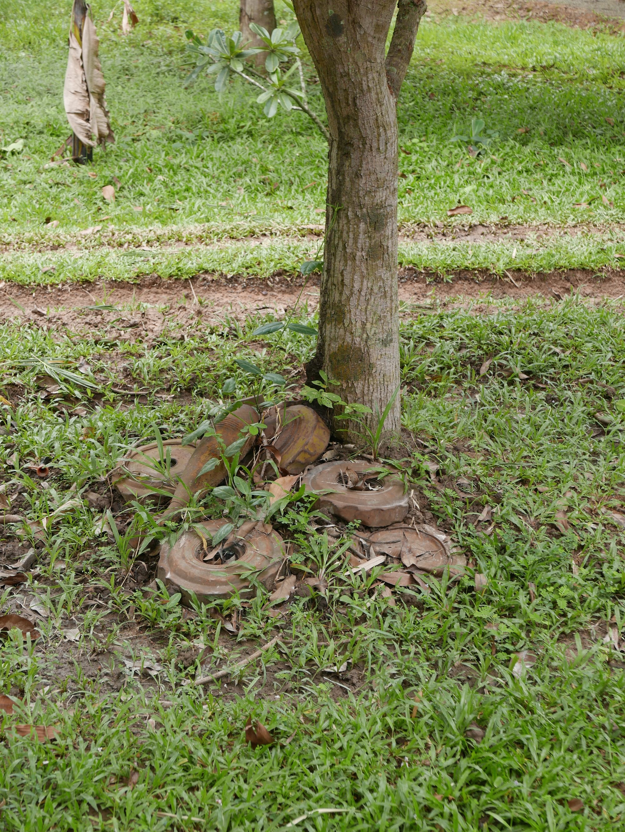 Photo by Author — deactivated mines — War Museum, Siem Reap, Cambodia