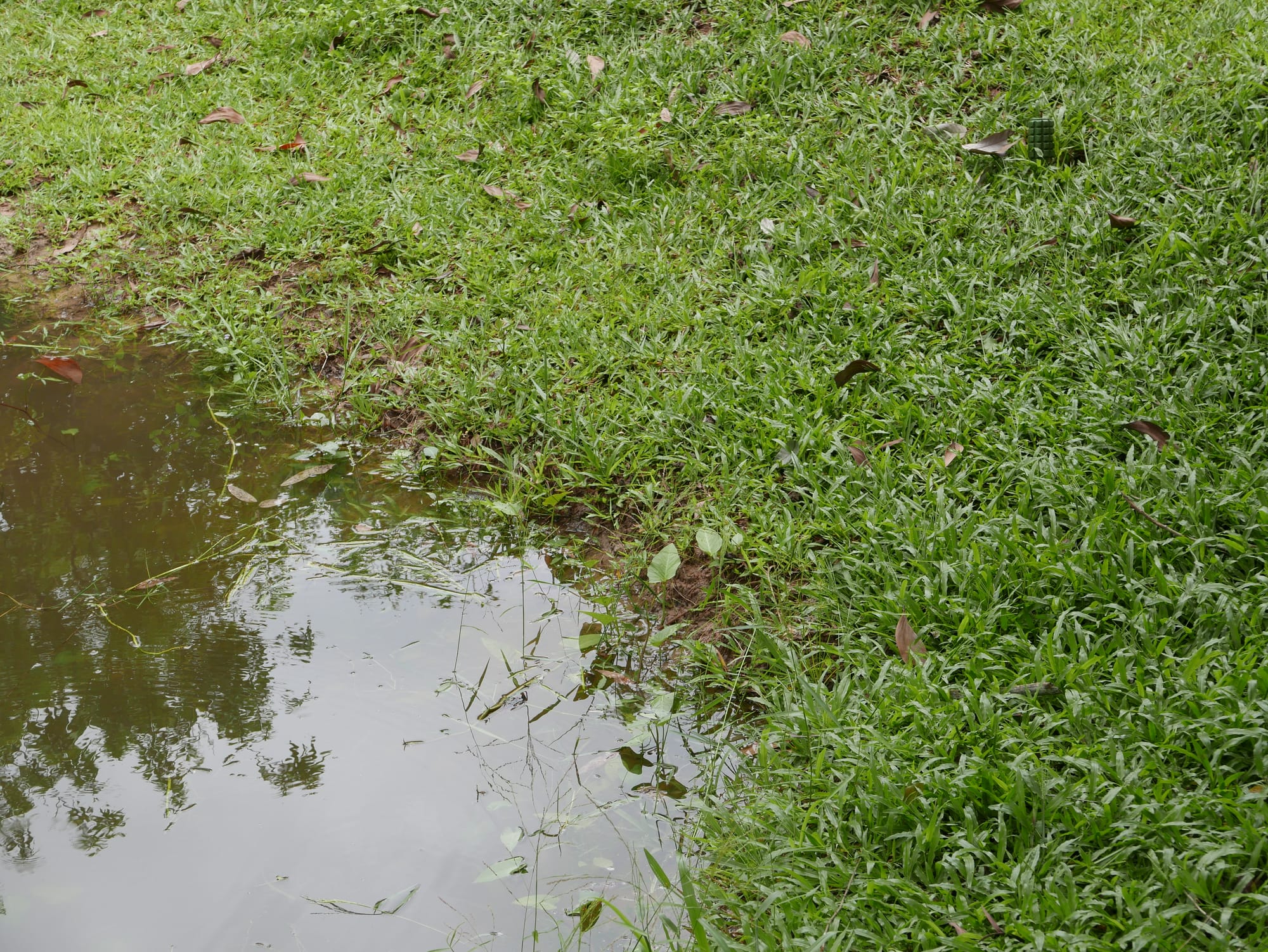 Photo by Author — spot the anti-personnel mine (the answer is at the end) — War Museum, Siem Reap, Cambodia