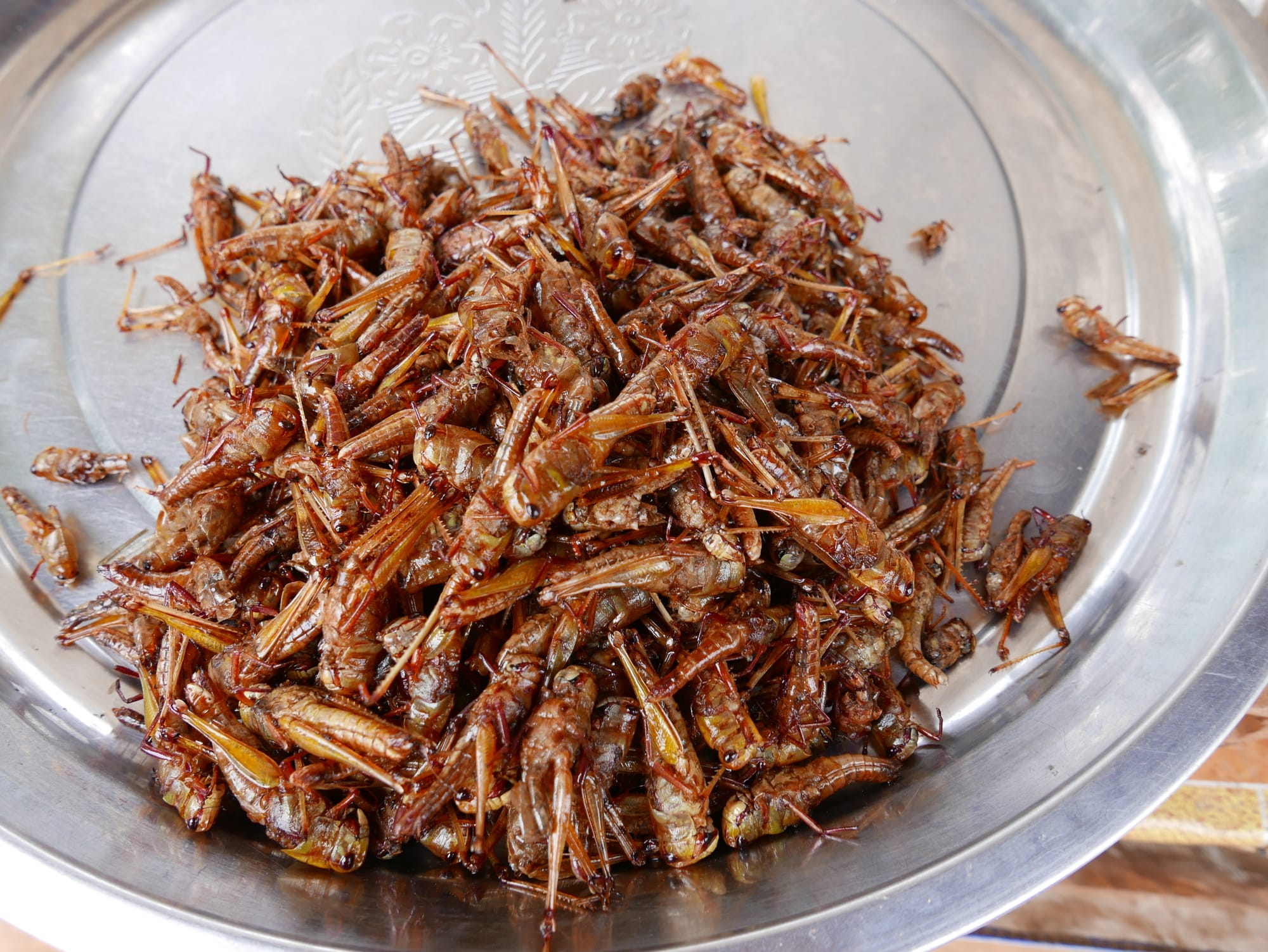 Photo by Author — deep-fried grasshoppers — Siem Reap, Cambodia