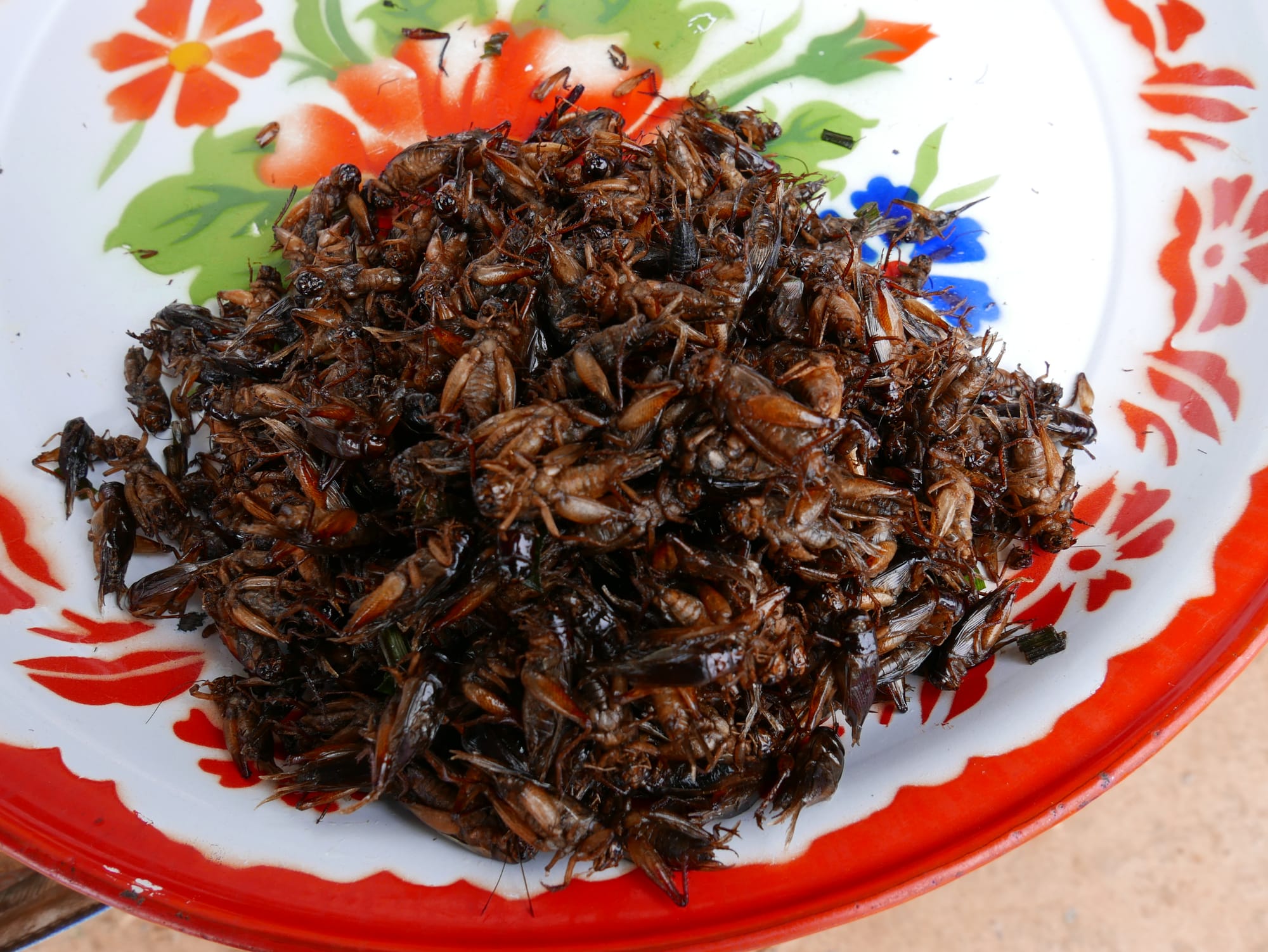 Photo by Author — deep-fried crickets — Siem Reap, Cambodia