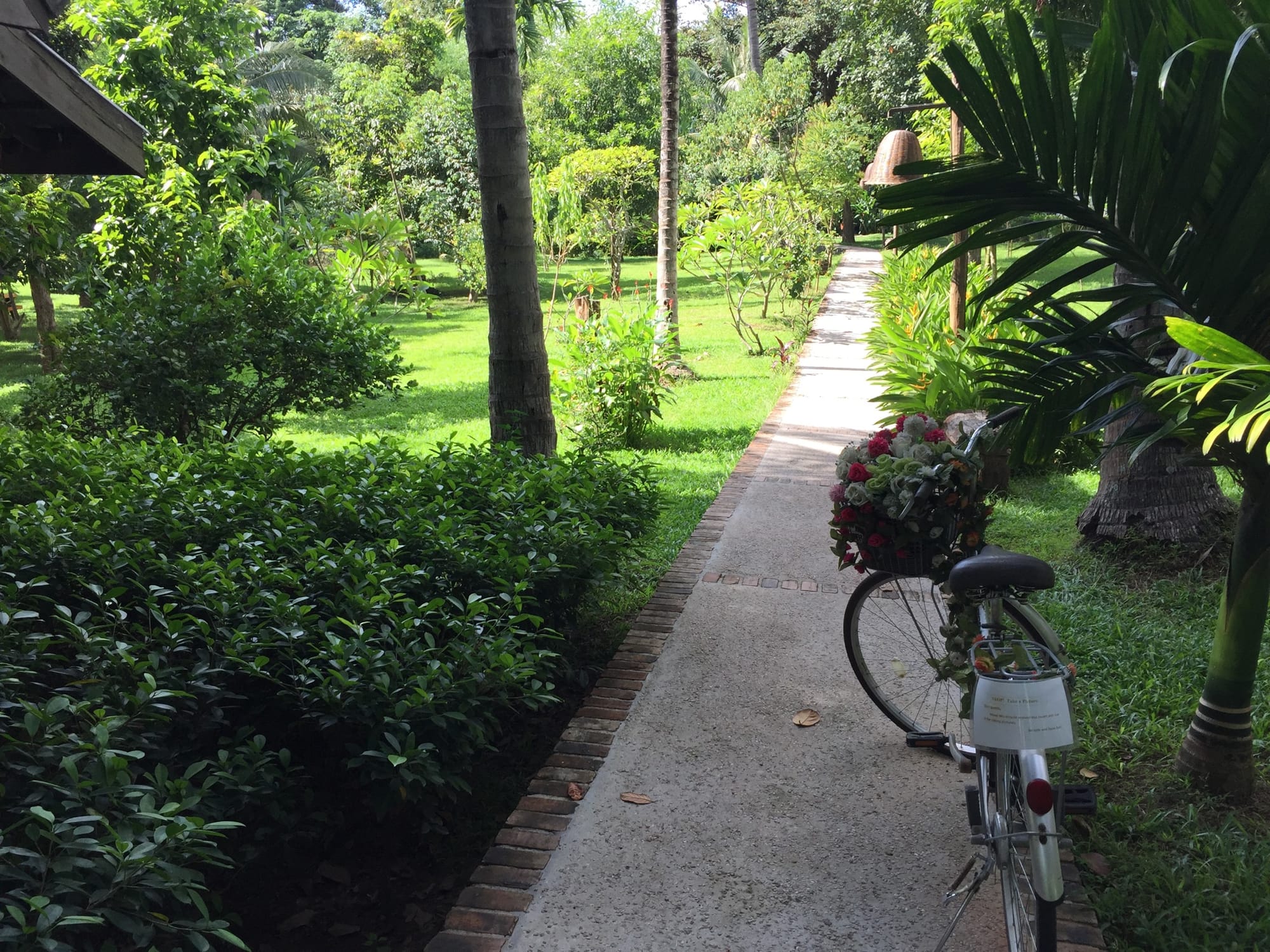 Photo by Author — the grounds of Le Bel Air Resort, 1 Old Bridge, Luang Prabang (ຫລວງພະບາງ/ຫຼວງພະບາງ), Laos