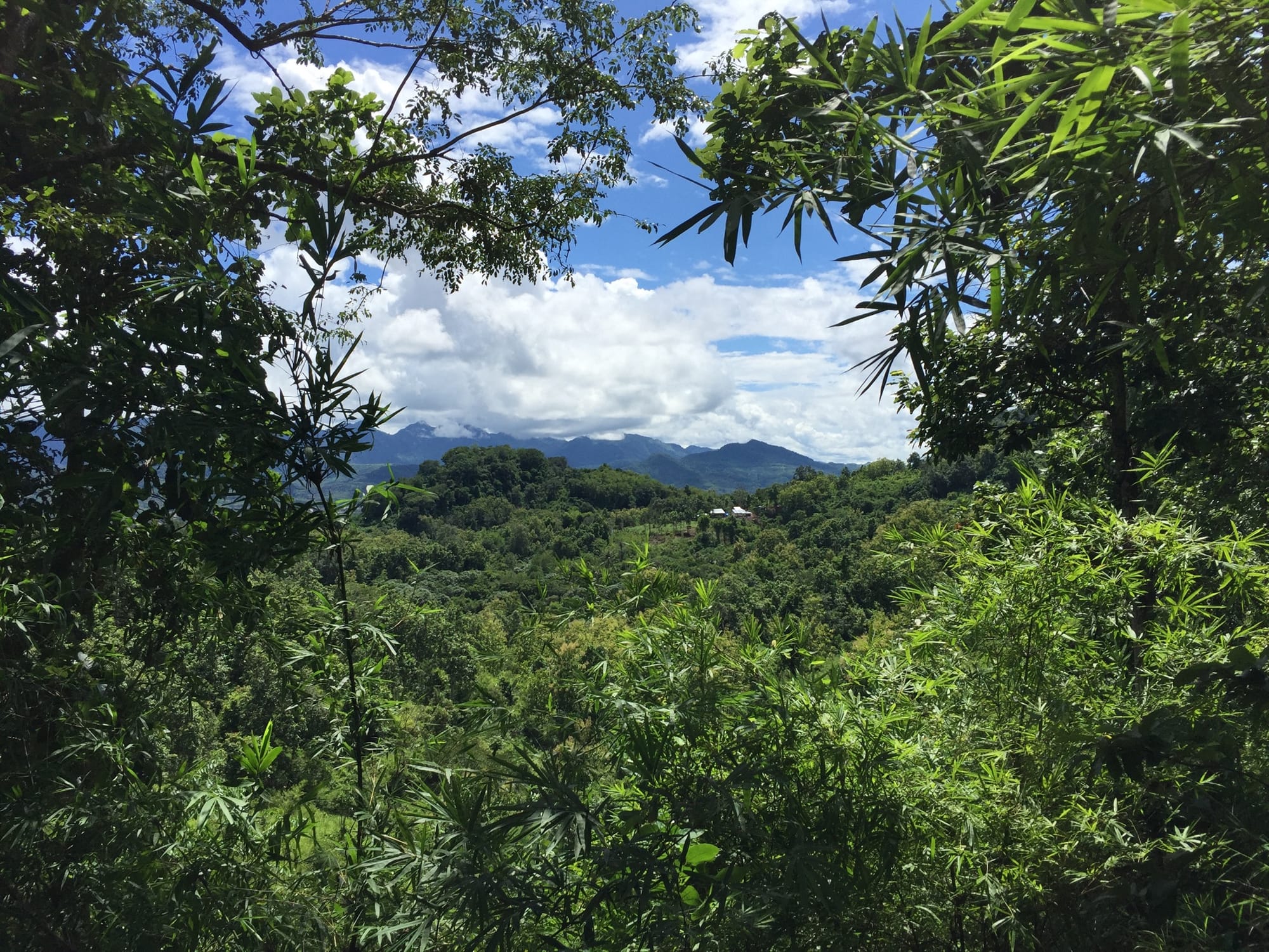 Photo by Author — the Chomphet Trail — a view from the road