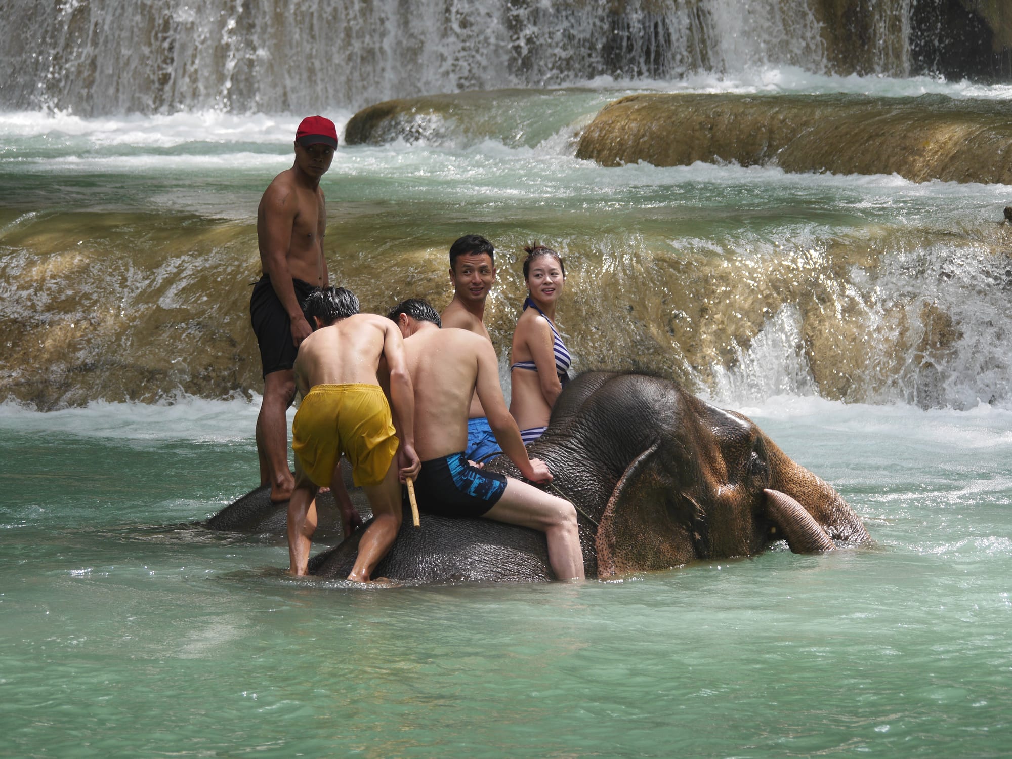 Photo by Author — two elephants in the pool — Tad Sae Waterfalls (ຕາດແສ້), Luang Prabang (ຫລວງພະບາງ/ຫຼວງພະບາງ), Laos