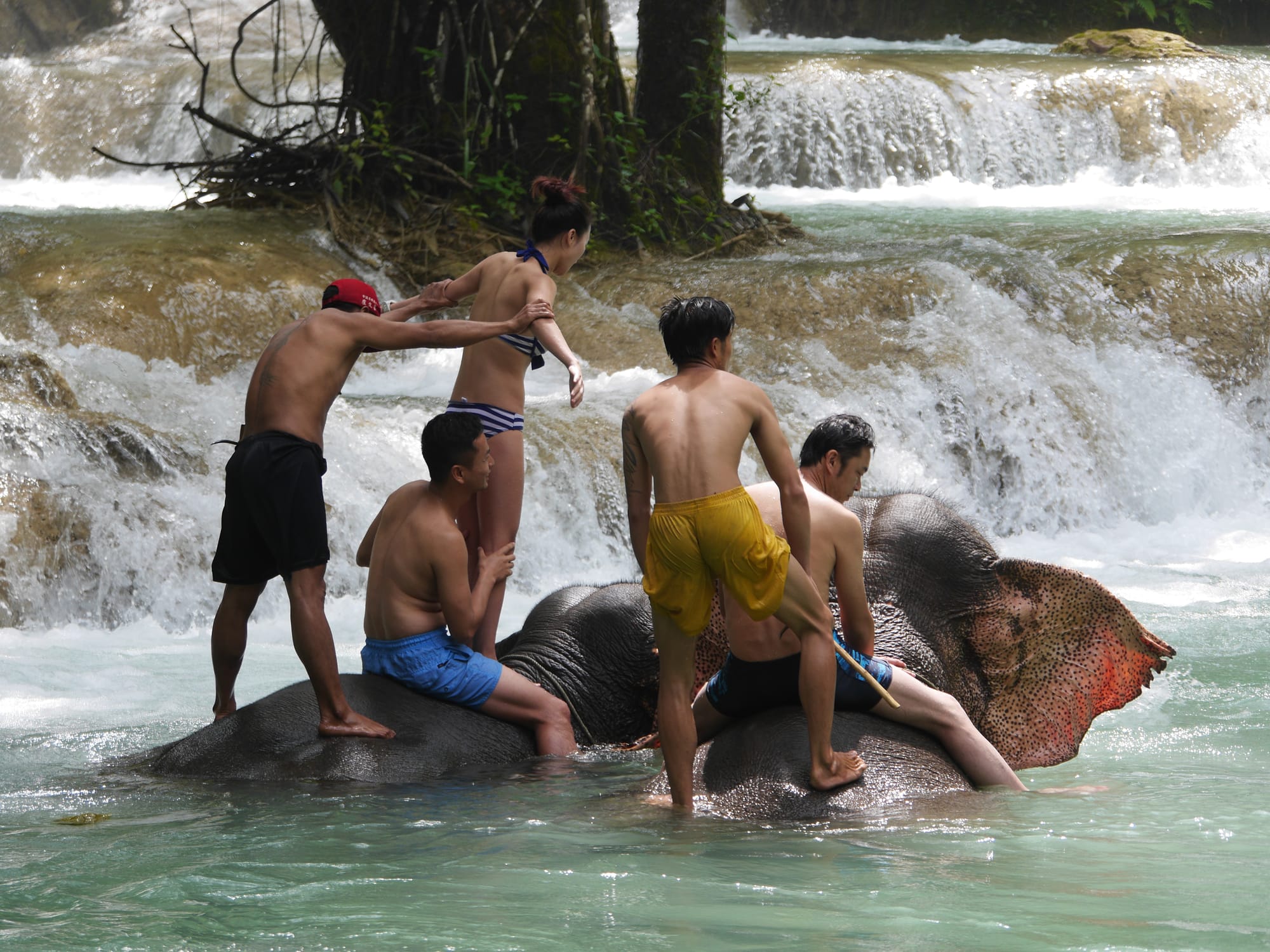 Photo by Author — two elephants in the pool — Tad Sae Waterfalls (ຕາດແສ້), Luang Prabang (ຫລວງພະບາງ/ຫຼວງພະບາງ), Laos