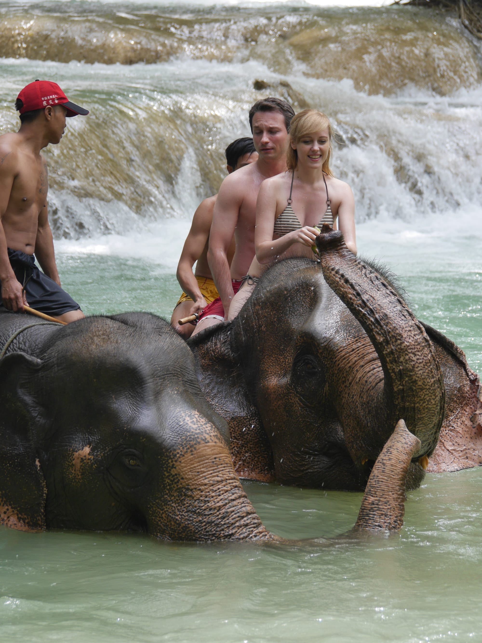 Photo by Author — elephants at the Tad Sae Waterfalls (ຕາດແສ້), Luang Prabang (ຫລວງພະບາງ/ຫຼວງພະບາງ), Laos