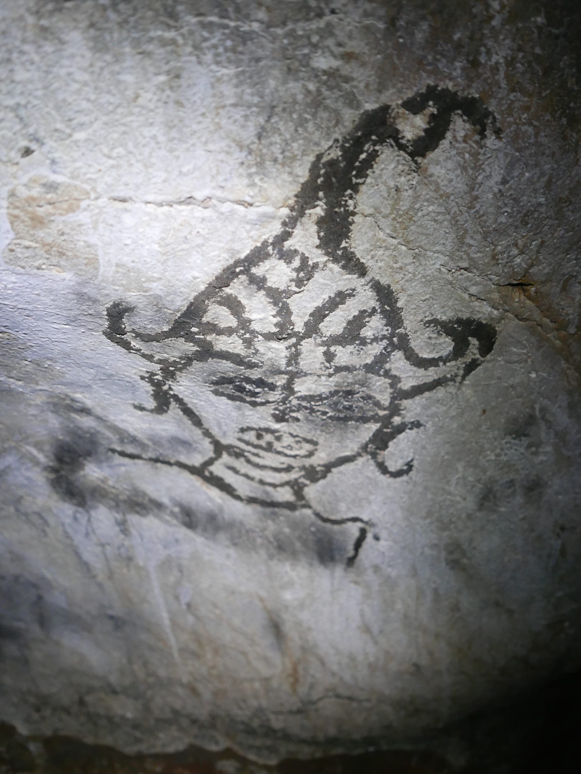 Photo by Author — a painted Buddha — Tham Ting (Tam Ting)/Pak Ou (ถ้ำติ่ง) Caves, Laos