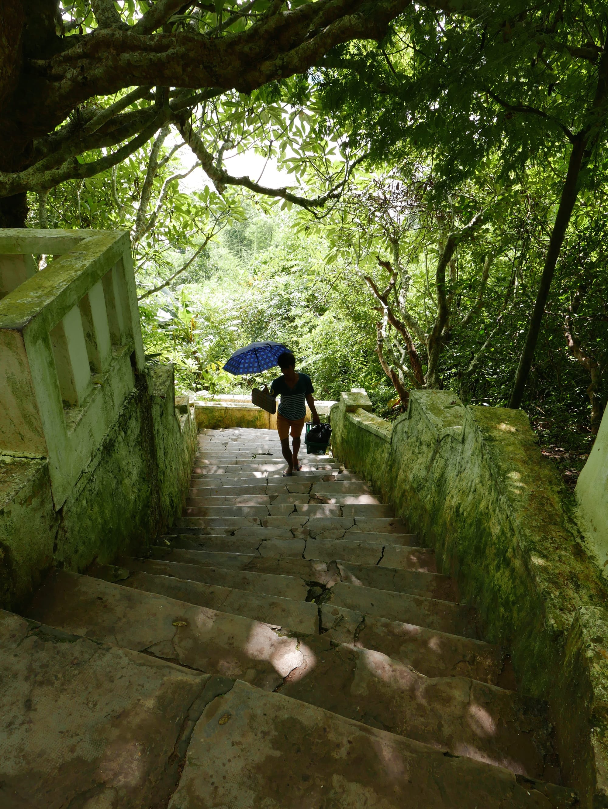 Photo by Author — the way back down from the upper caves — Tham Ting (Tam Ting)/Pak Ou (ถ้ำติ่ง) Caves, Laos