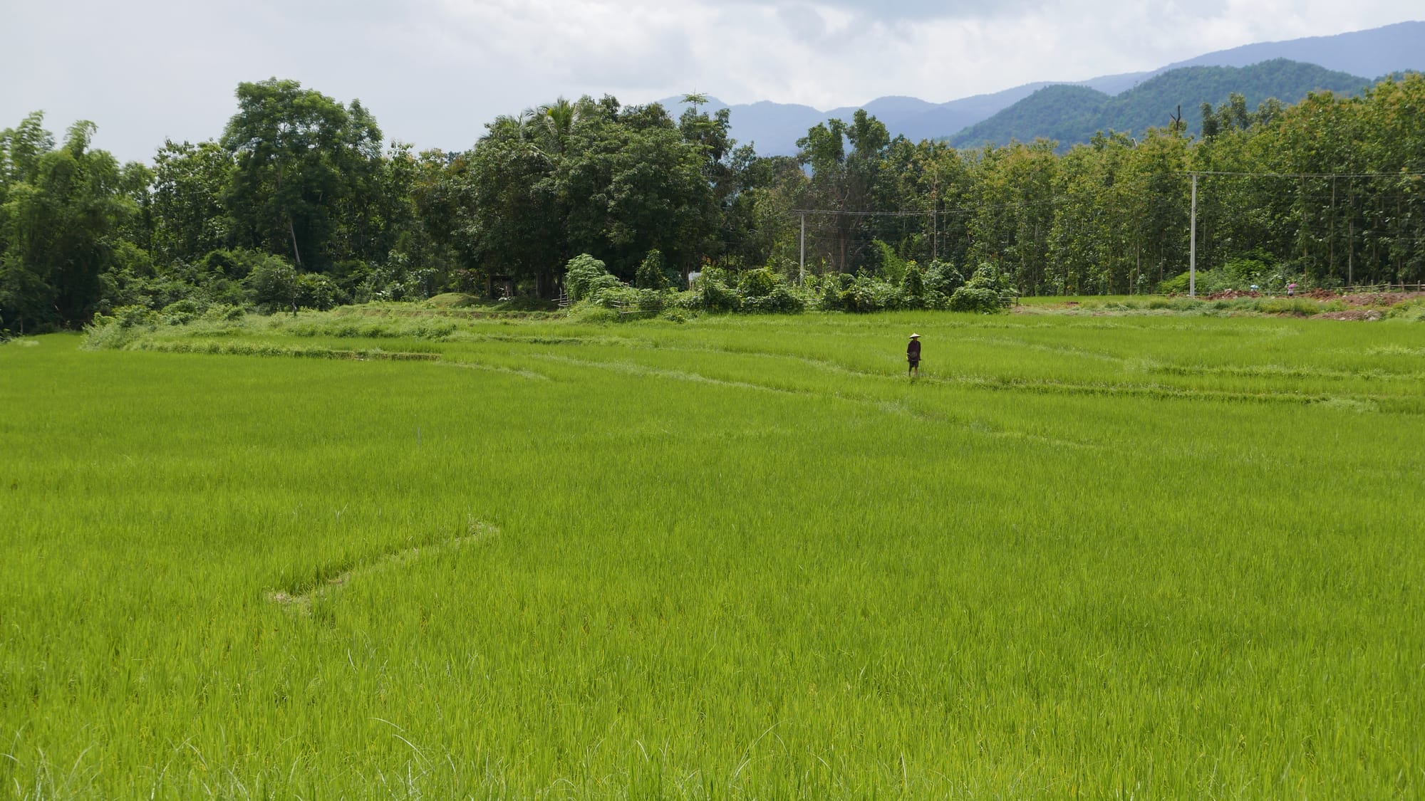 Photo by Author — the countryside around Luang Prabang (ຫລວງພະບາງ/ຫຼວງພະບາງ), Laos