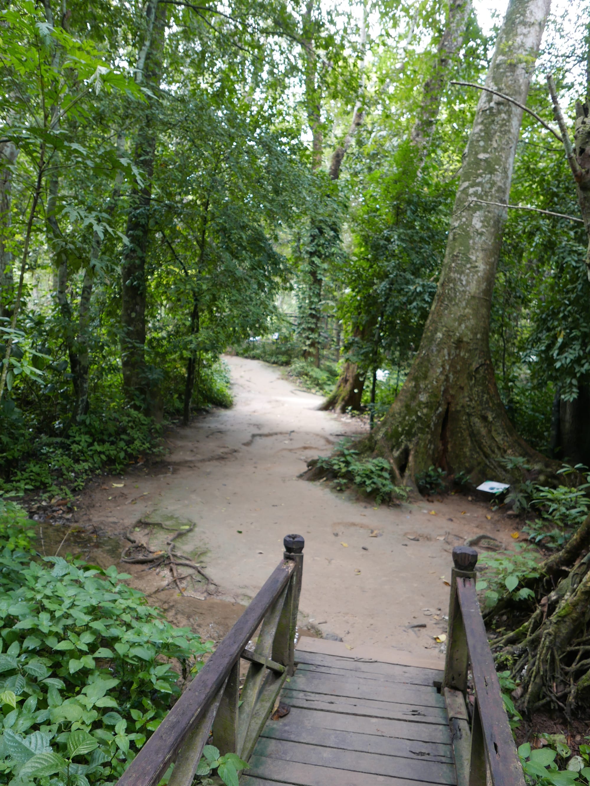 Photo by Author — the walk into the Kuang Si Waterfall (ນ້ຳຕົກຕາດ ກວາງຊີ), Laos — the lower pools