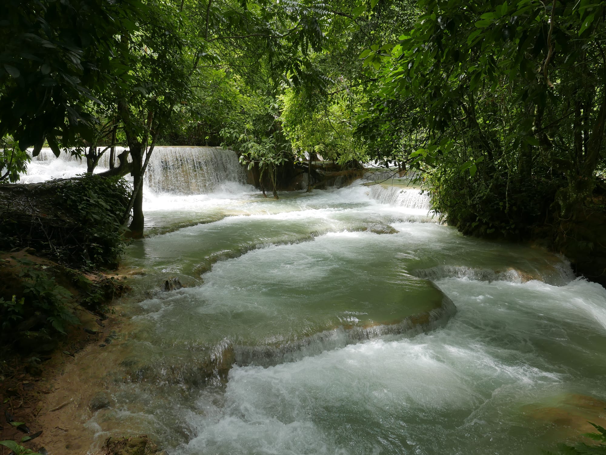 Photo by Author — quiet pool — Kuang Si Waterfall (ນ້ຳຕົກຕາດ ກວາງຊີ), Laos — the lower pools