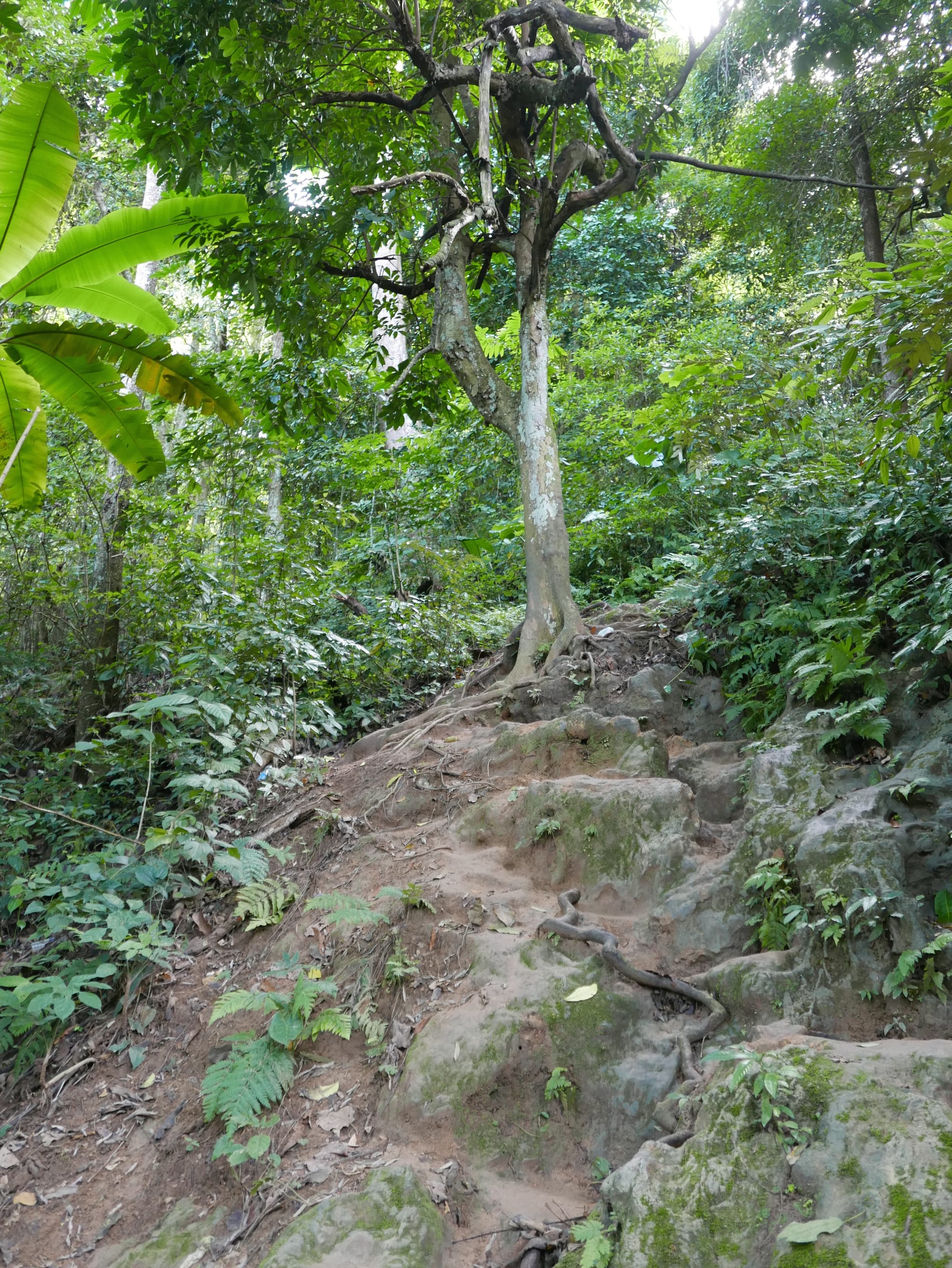 Photo by Author — the climb to the upper pools— Kuang Si Waterfall (ນ້ຳຕົກຕາດ ກວາງຊີ), Laos — dodgy terrain