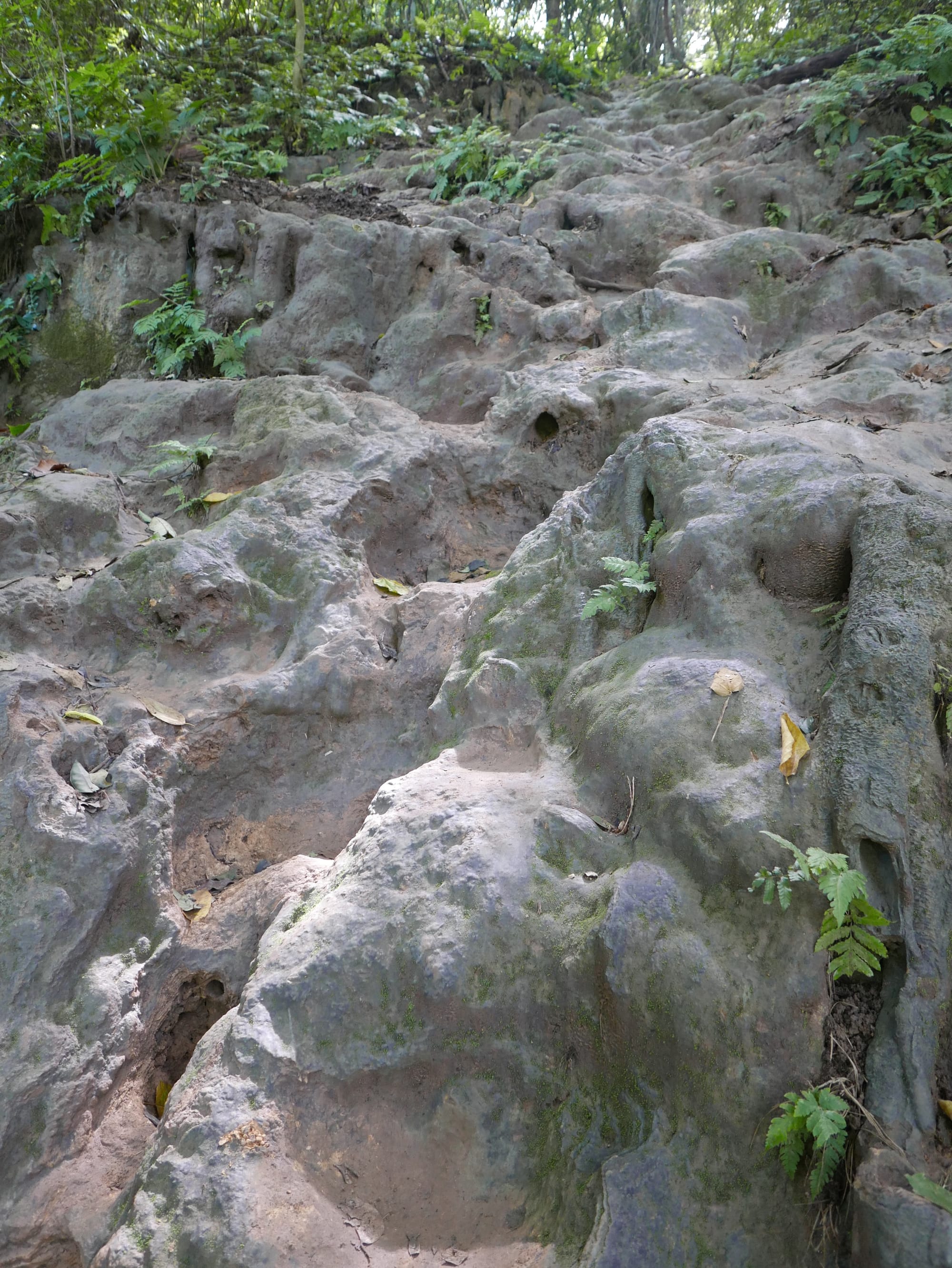 Photo by Author — the climb to the upper pools— Kuang Si Waterfall (ນ້ຳຕົກຕາດ ກວາງຊີ), Laos — dodgy terrain