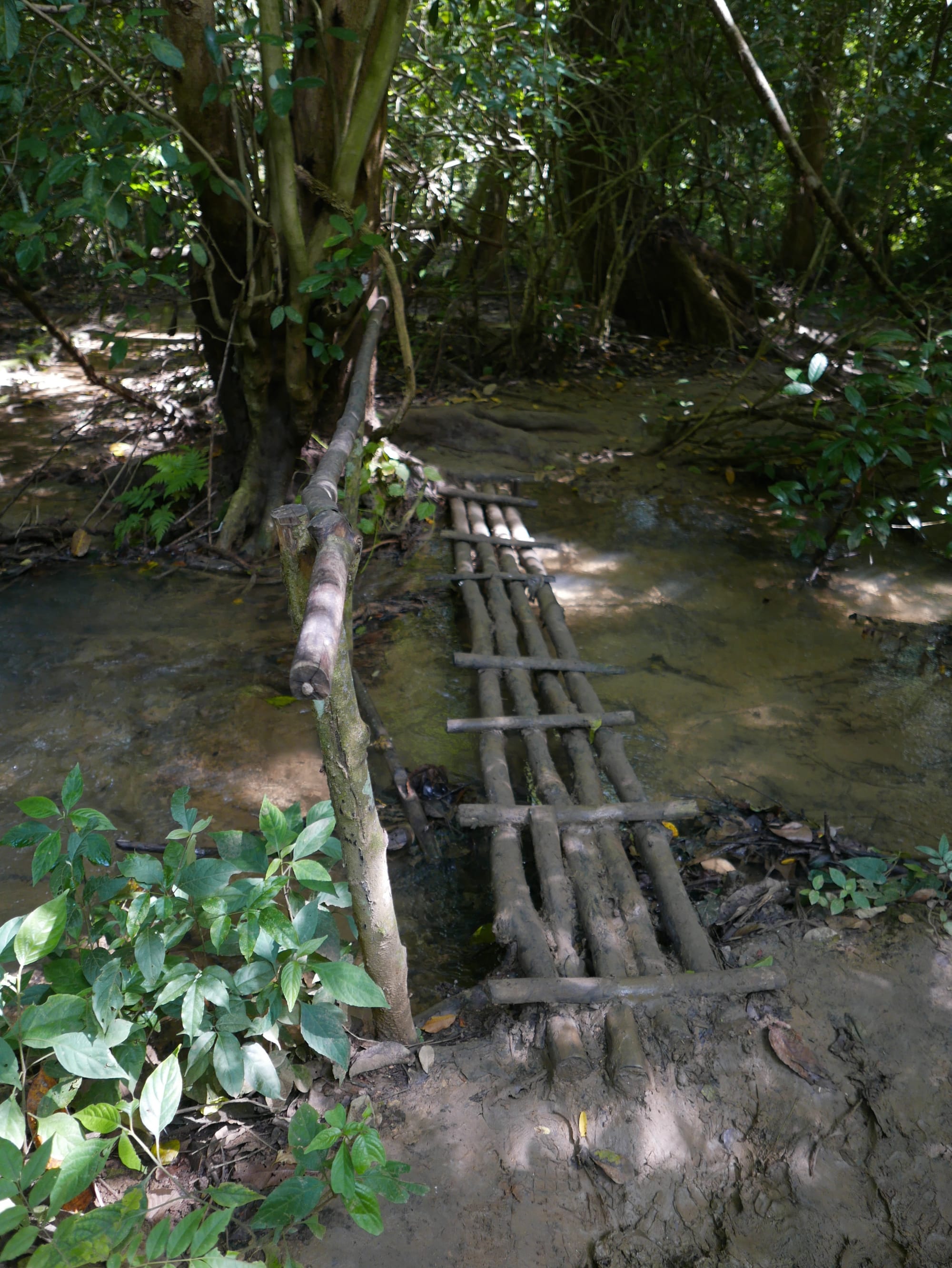 Photo by Author — the climb to the upper pools— Kuang Si Waterfall (ນ້ຳຕົກຕາດ ກວາງຊີ), Laos — rickety bridge