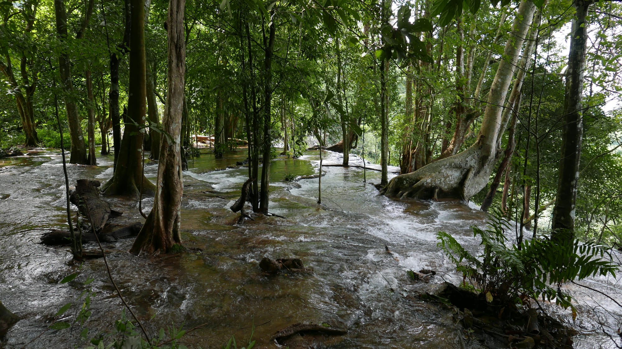 Photo by Author — Kuang Si Waterfall (ນ້ຳຕົກຕາດ ກວາງຊີ), Laos — the upper pools