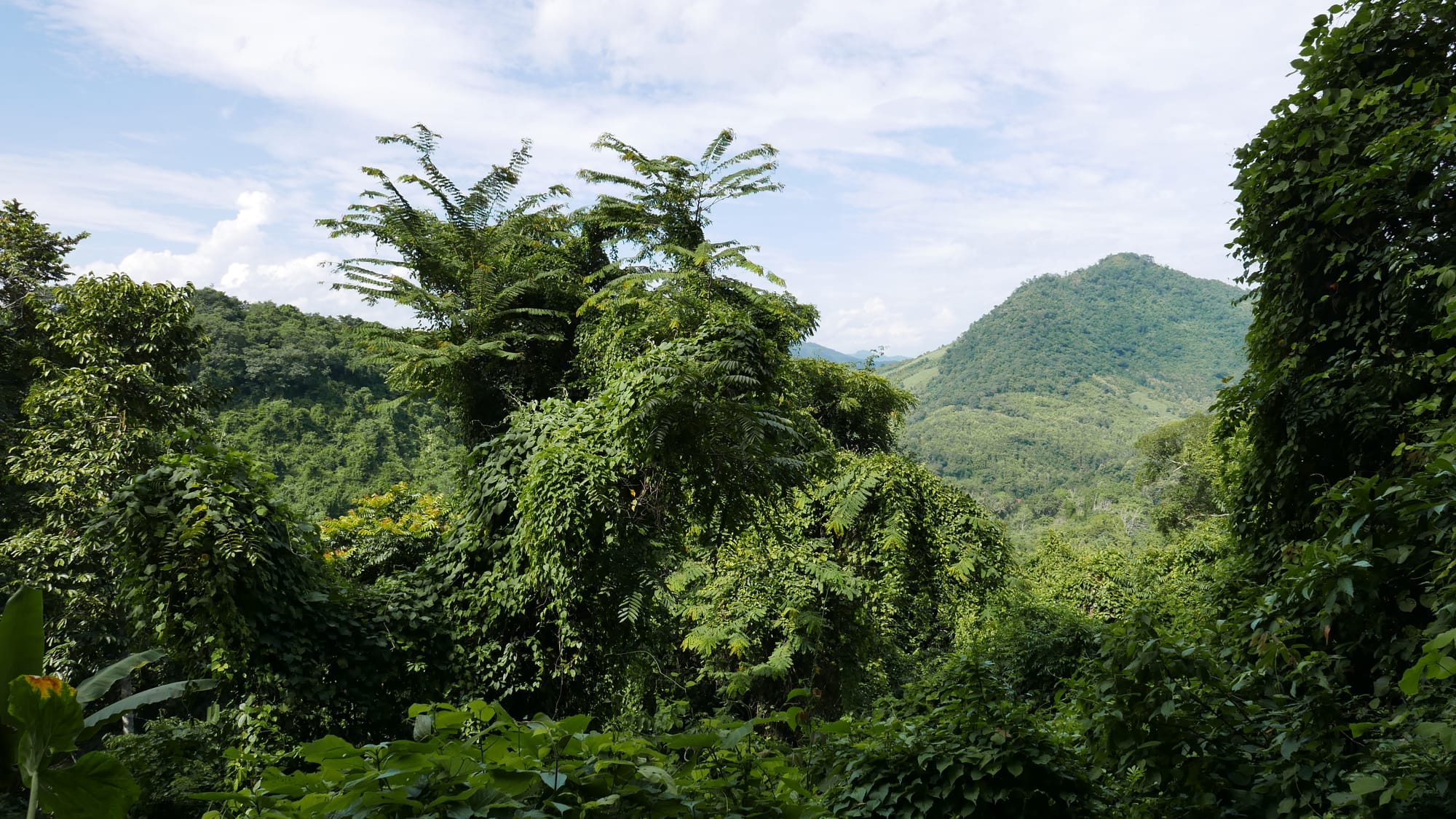 Photo by Author — the view from the upper pools at Kuang Si Waterfall (ນ້ຳຕົກຕາດ ກວາງຊີ), Laos