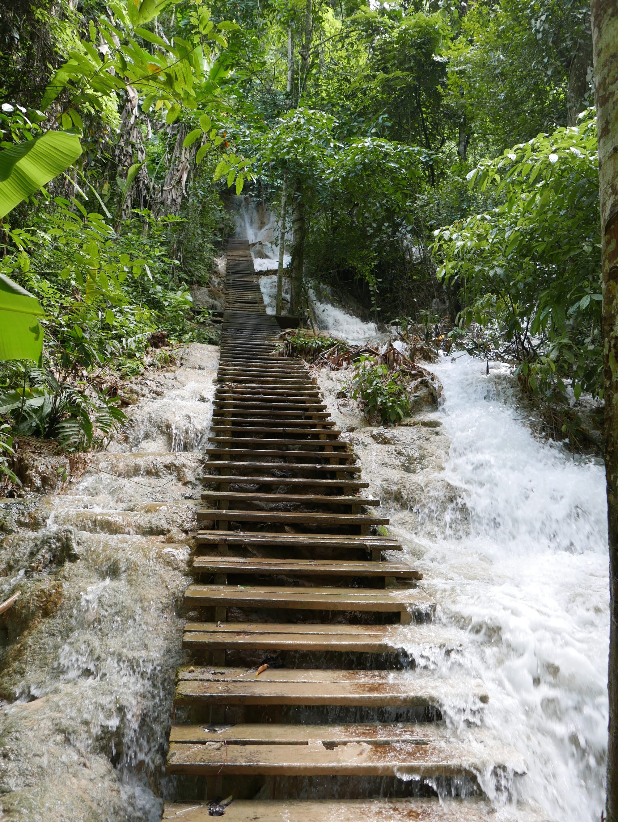 Photo by Author — leaving the upper pools— Kuang Si Waterfall (ນ້ຳຕົກຕາດ ກວາງຊີ), Laos