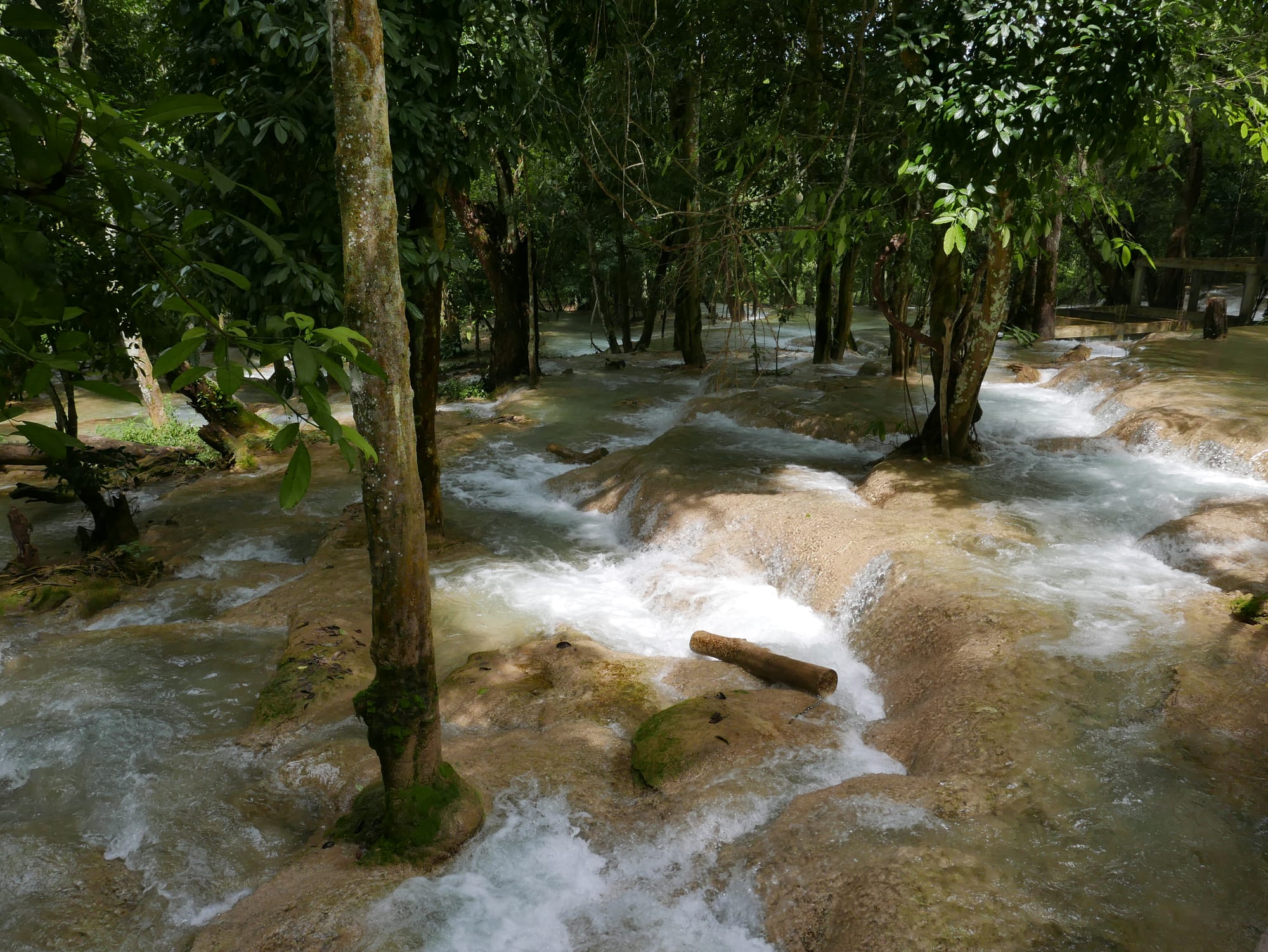 Photo by Author — Tad Sae Waterfalls (ຕາດແສ້), Luang Prabang (ຫລວງພະບາງ/ຫຼວງພະບາງ), Laos