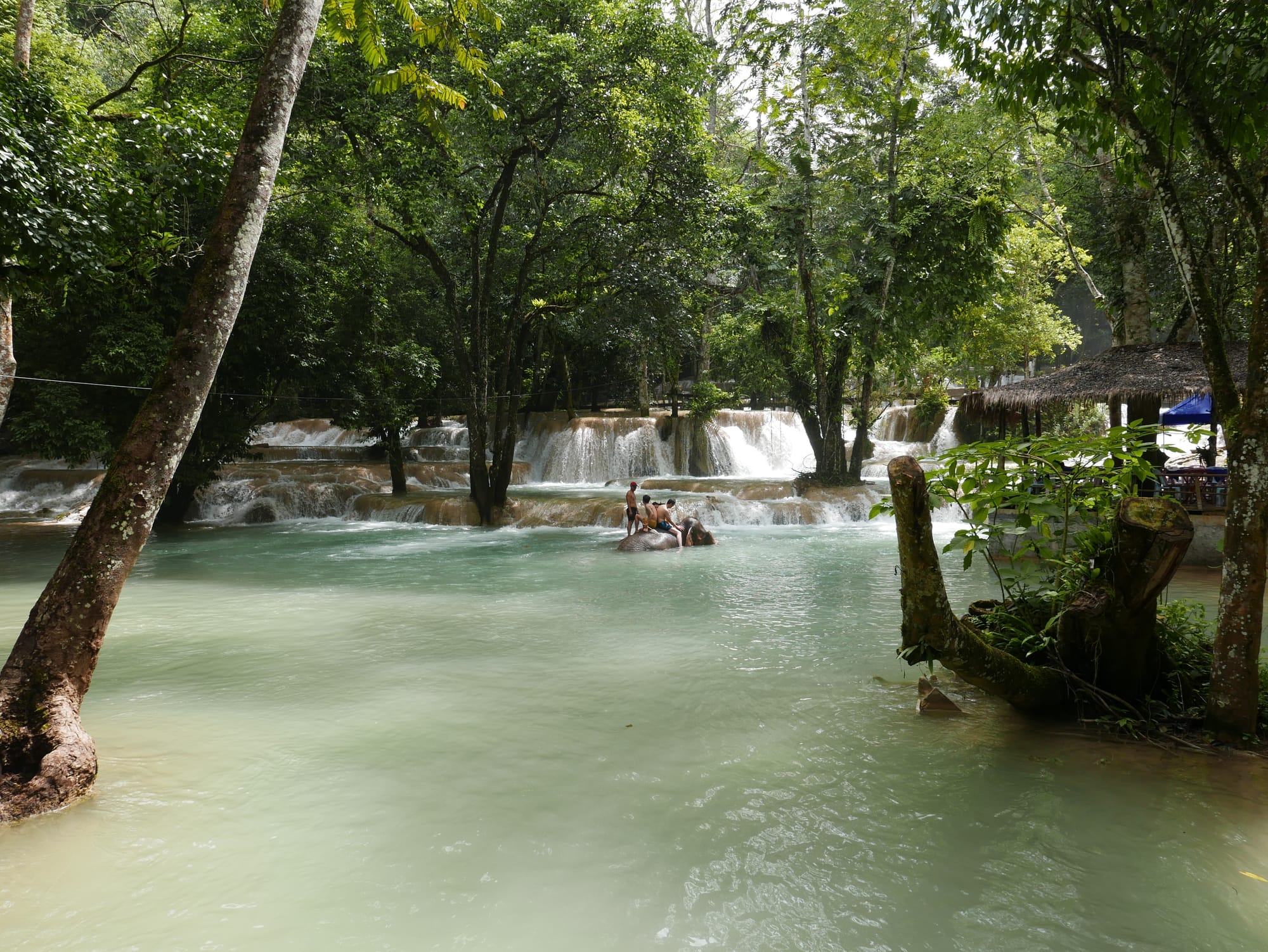 Photo by Author — an elephant in the pool — Tad Sae Waterfalls (ຕາດແສ້), Luang Prabang (ຫລວງພະບາງ/ຫຼວງພະບາງ), Laos