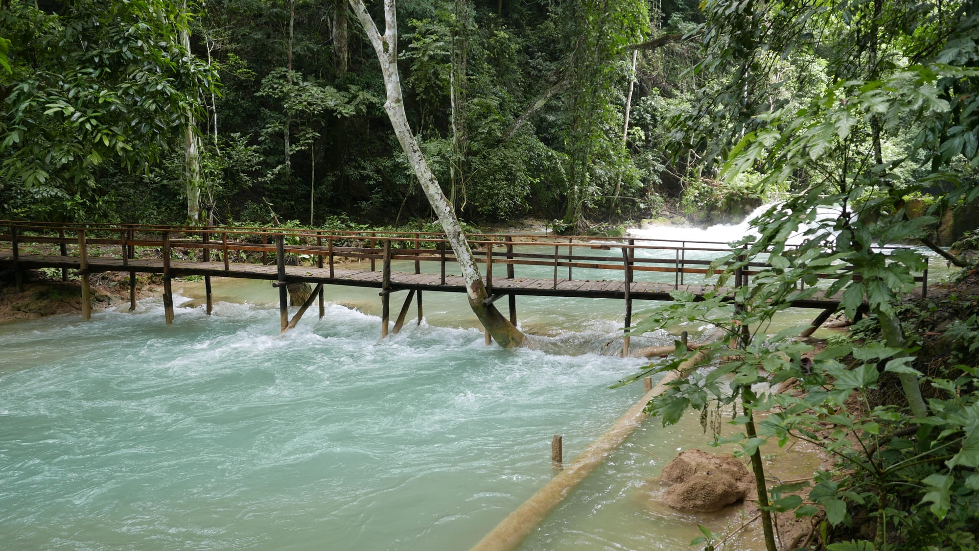 Photo by Author — a bridge on the hike to the top of the Tad Sae Waterfalls (ຕາດແສ້), Luang Prabang (ຫລວງພະບາງ/ຫຼວງພະບາງ), Laos