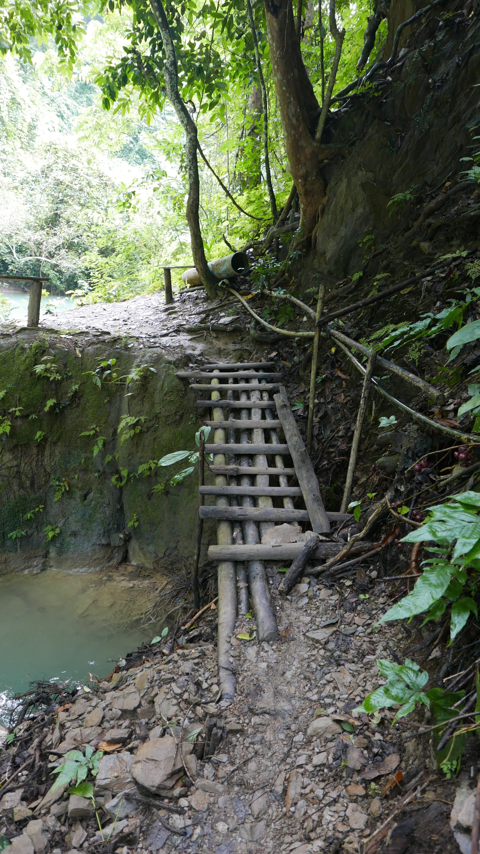 Photo by Author — a bridge on the hike to the top — Tad Sae Waterfalls (ຕາດແສ້), Luang Prabang (ຫລວງພະບາງ/ຫຼວງພະບາງ), Laos