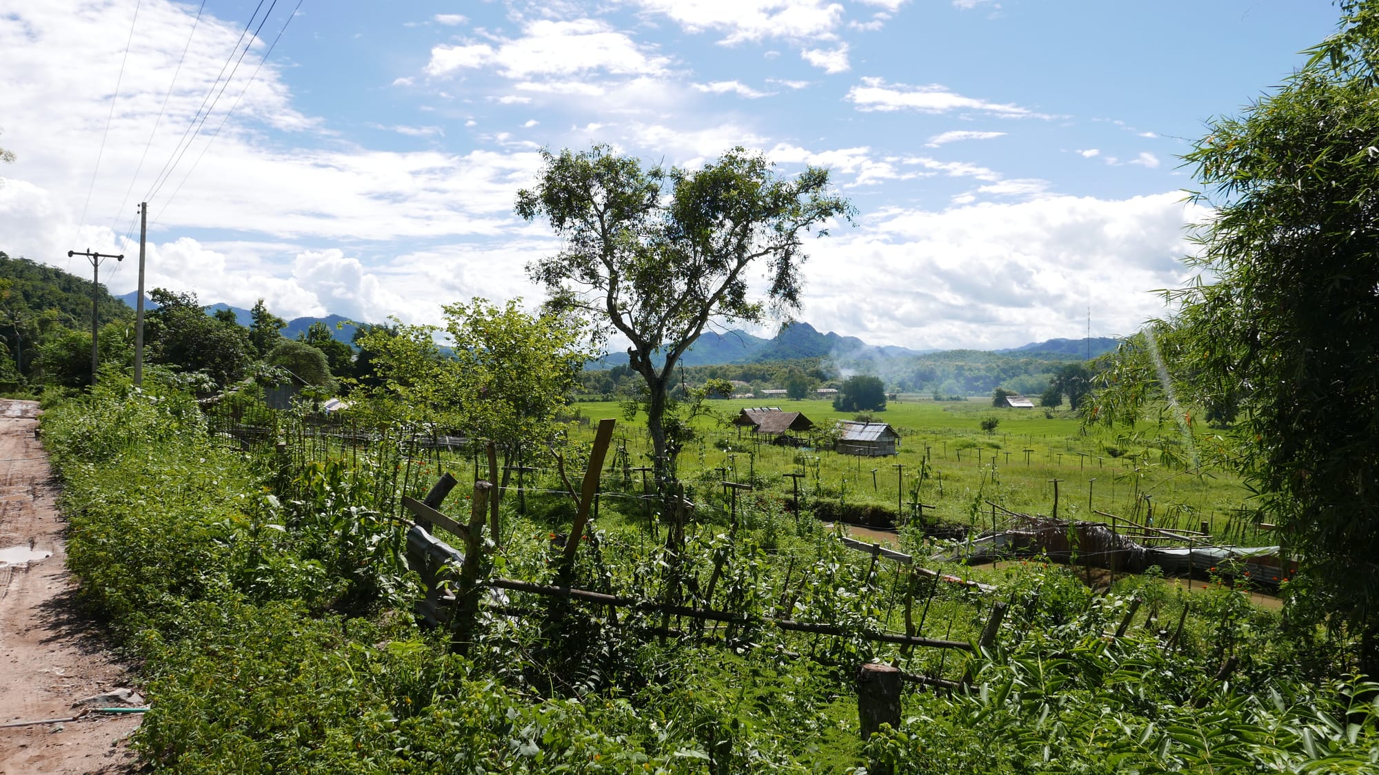 Photo by Author — a view from the road back to Ban Xieng Man