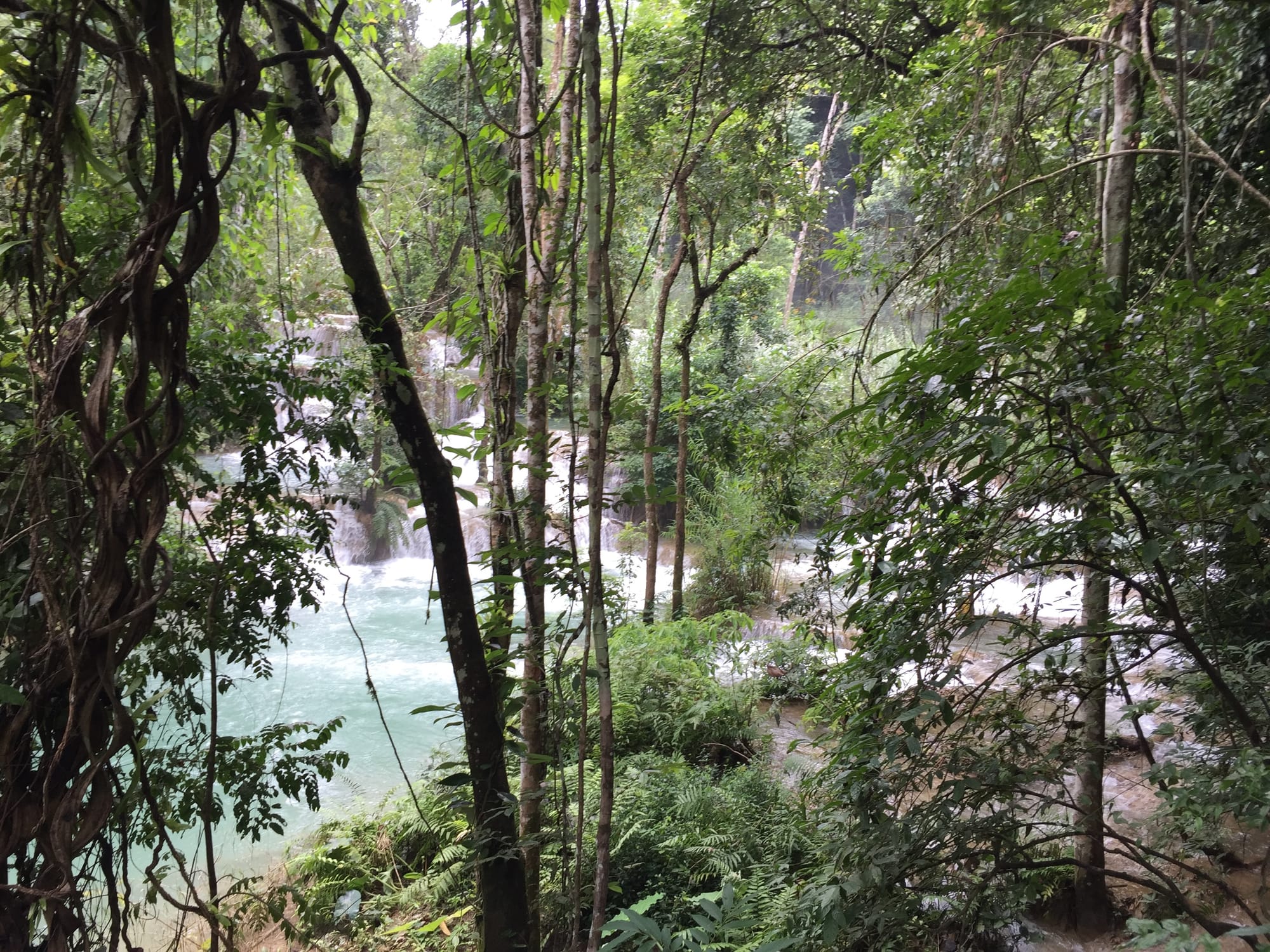 Photo by Author — at the top of the Tad Sae Waterfalls (ຕາດແສ້), Luang Prabang (ຫລວງພະບາງ/ຫຼວງພະບາງ), Laos