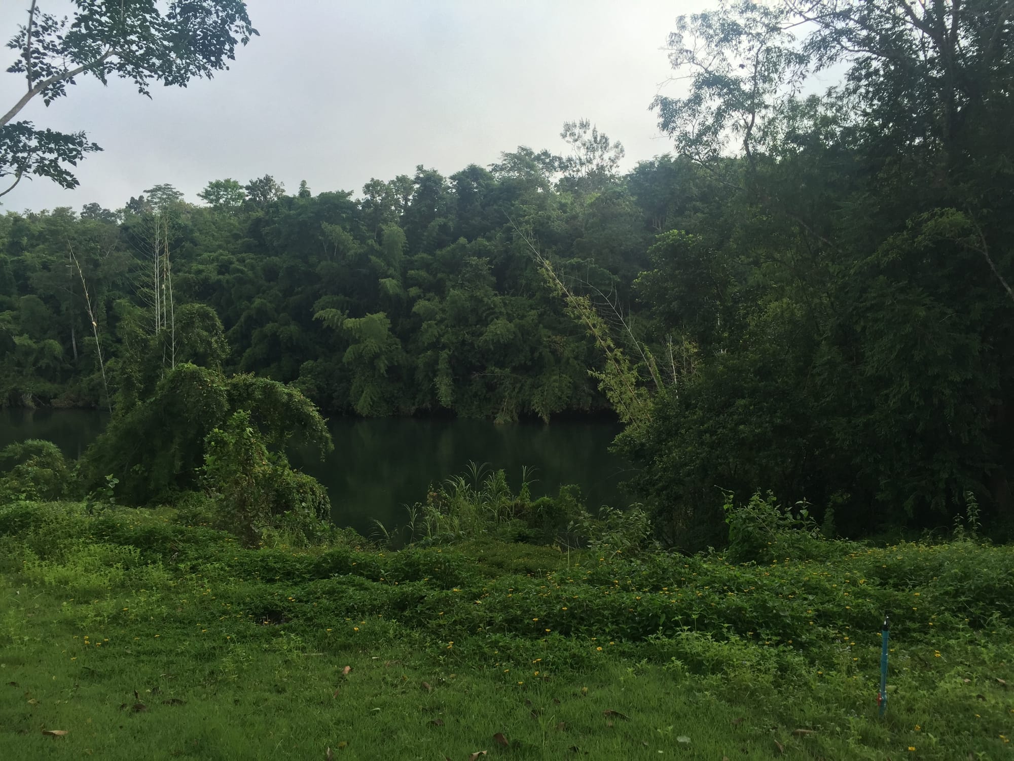 Photo by Author — the river at Nakakiri Resort & Spa (นาคาคีรี รีสอร์ด แอนด์ สปา), Thong Pha Phum, Changwat Kanchanaburi, Thailand