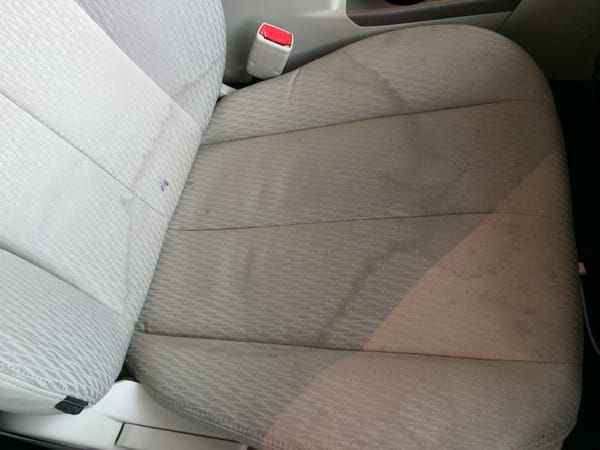 Yellowstone National Park in the Winter — Worried about staining the seat of your rented car? Don’t be!