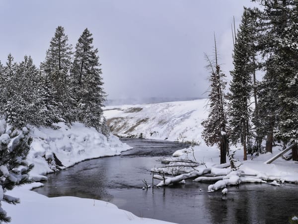 Yellowstone National Park in winter - Snowshoeing through the Upper Geyser Basin - a river with trees and snow