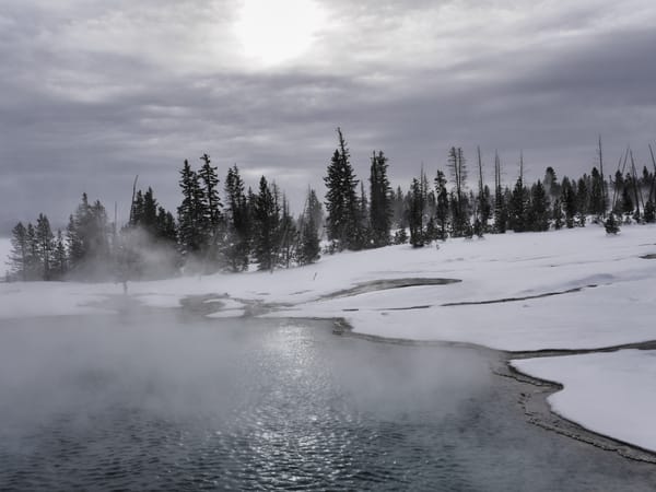 Yellowstone - down by a lake with team rising and snow on the ground