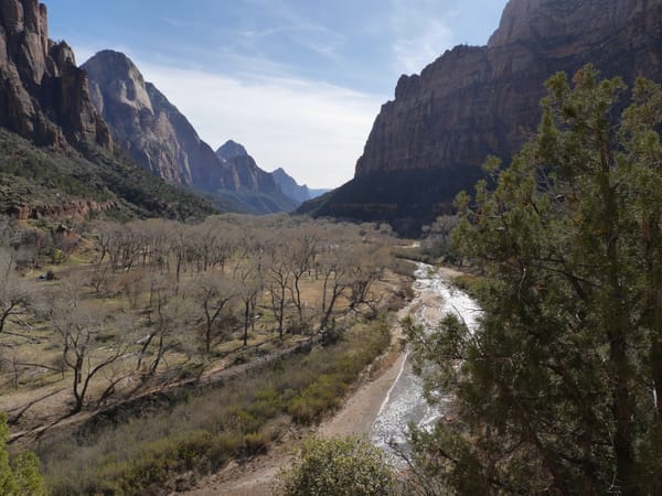 Exploring Zion National Park, Utah - walking in the woods — The Grotto and Emerald Pools Trail
