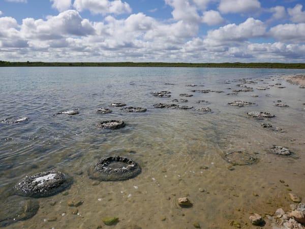 Stromatolites and Lake Thetis, Cervantes, WA 6511, Australia